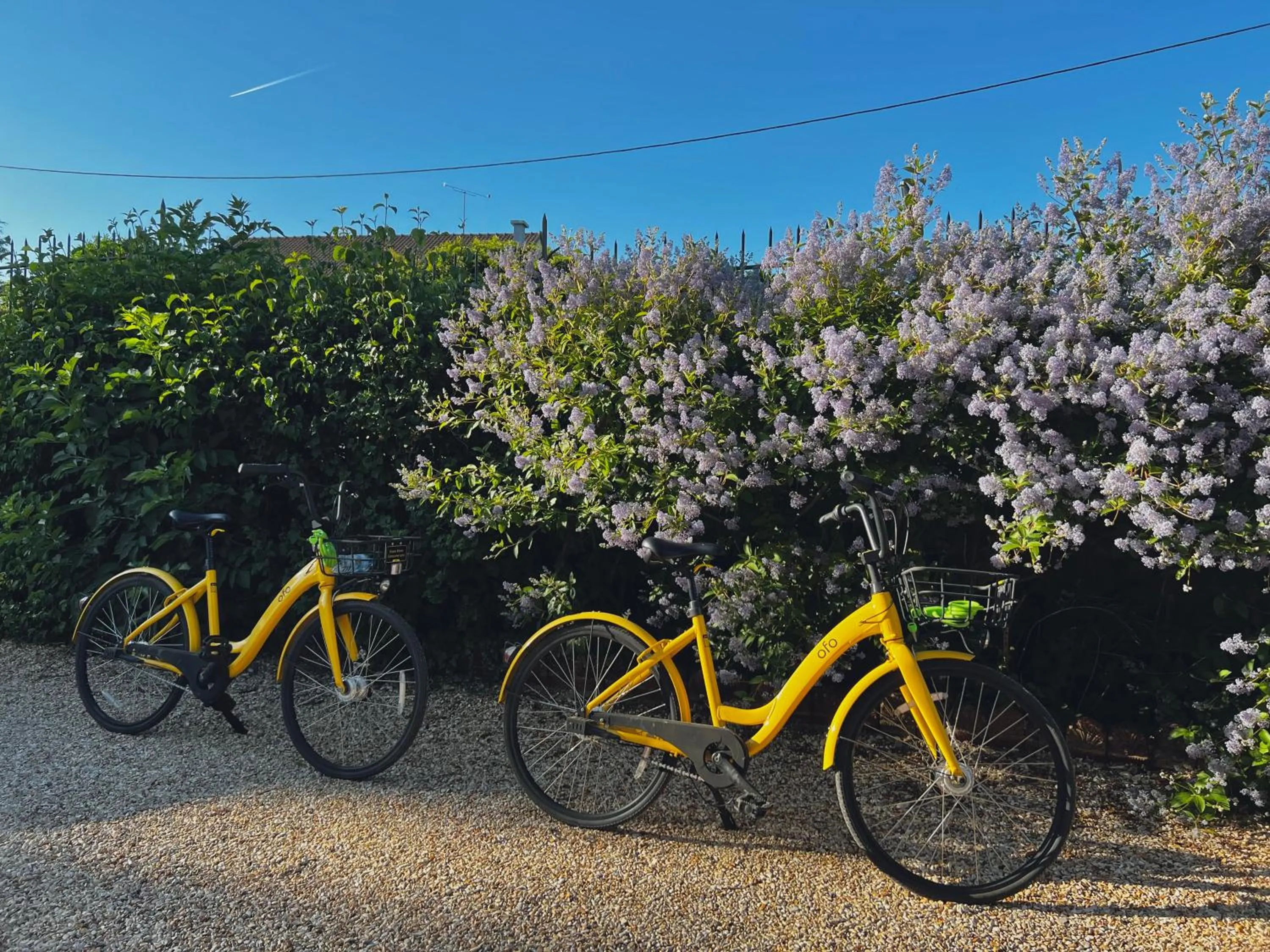 Cycling in Demeure de la Garenne