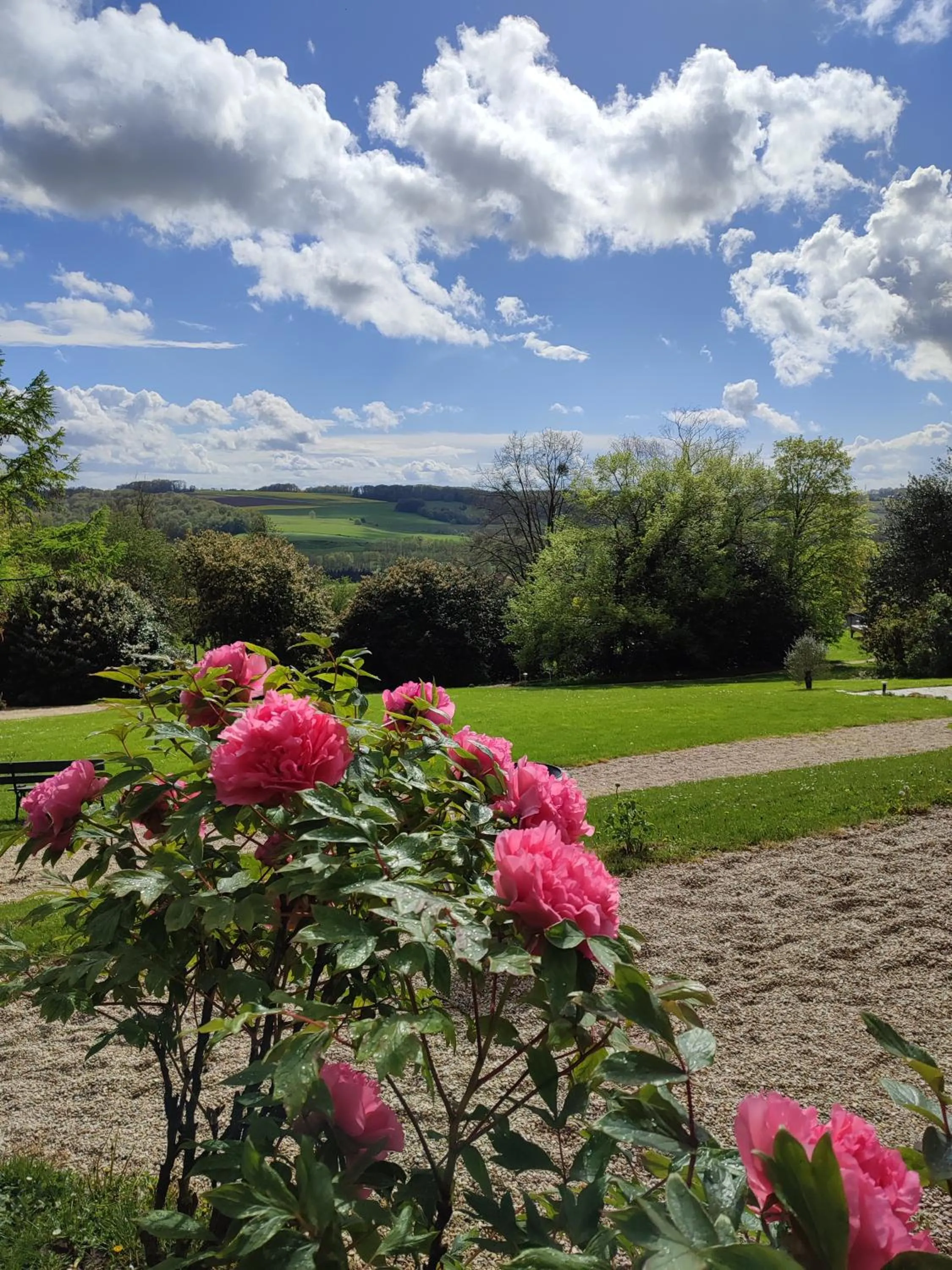 Garden in Demeure de la Garenne
