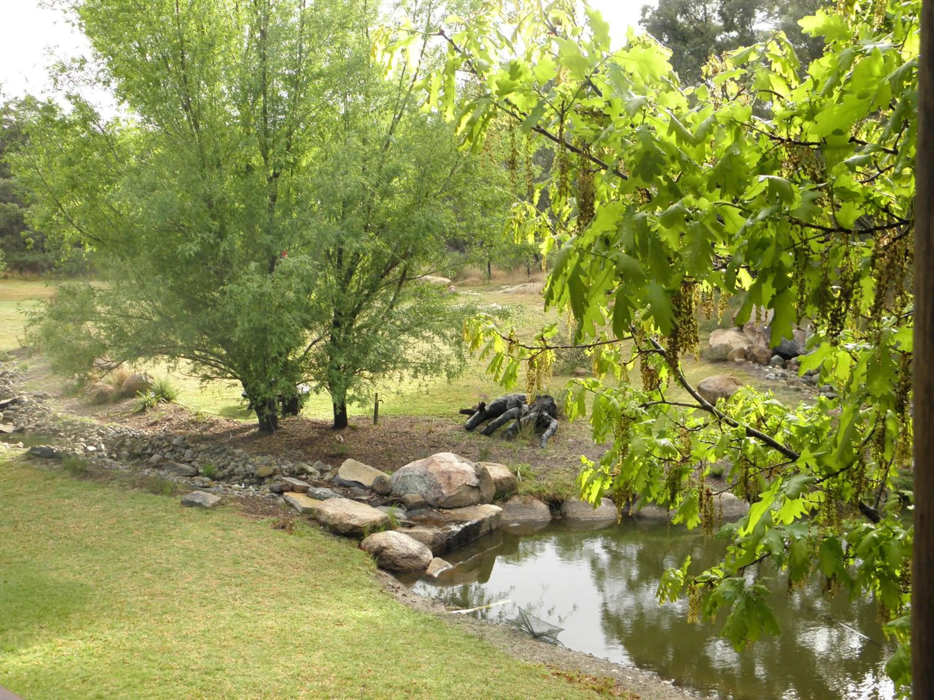 Area and facilities in Granite Belt Retreat and Brewery
