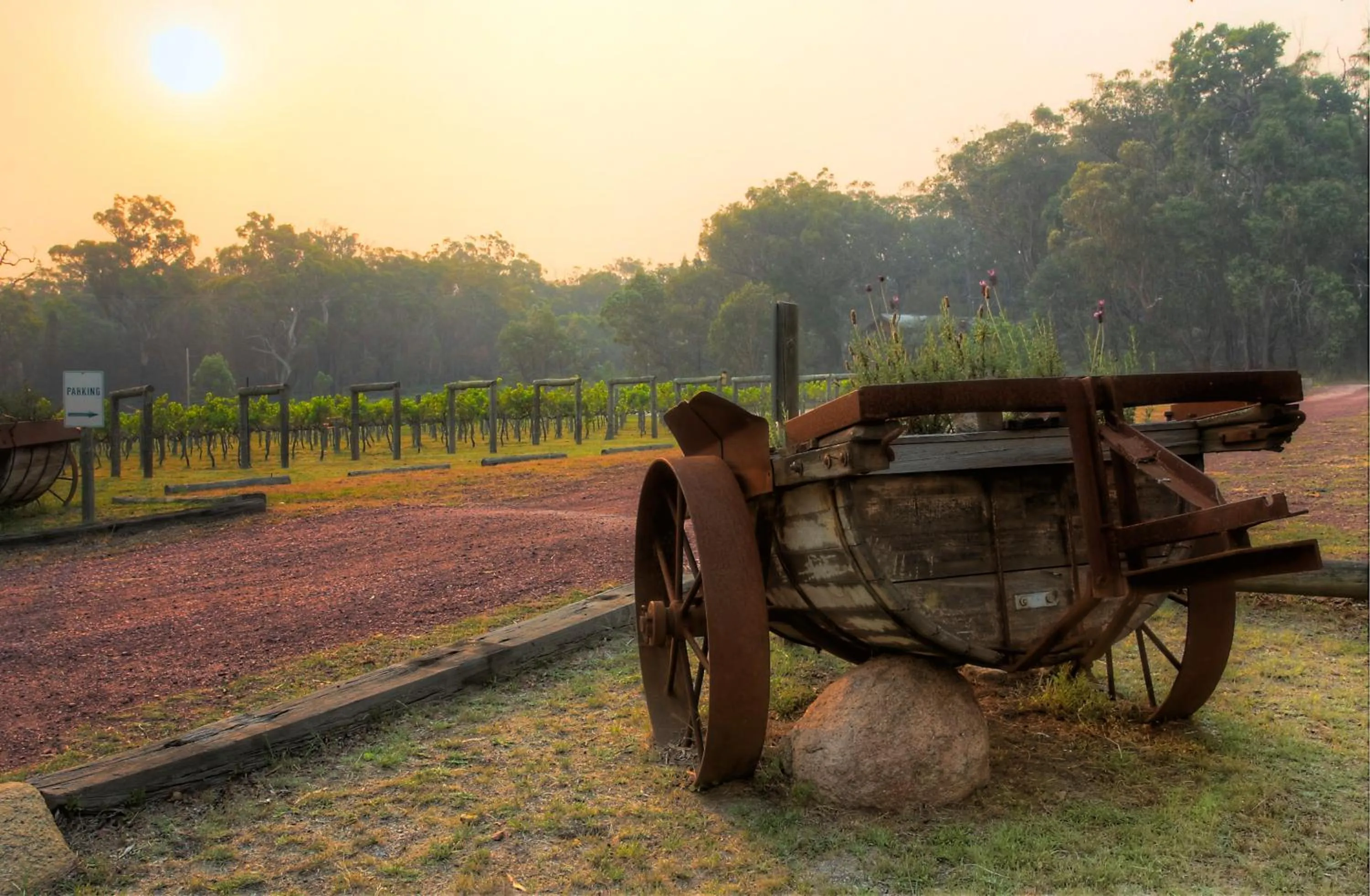 Area and facilities in Granite Belt Retreat and Brewery