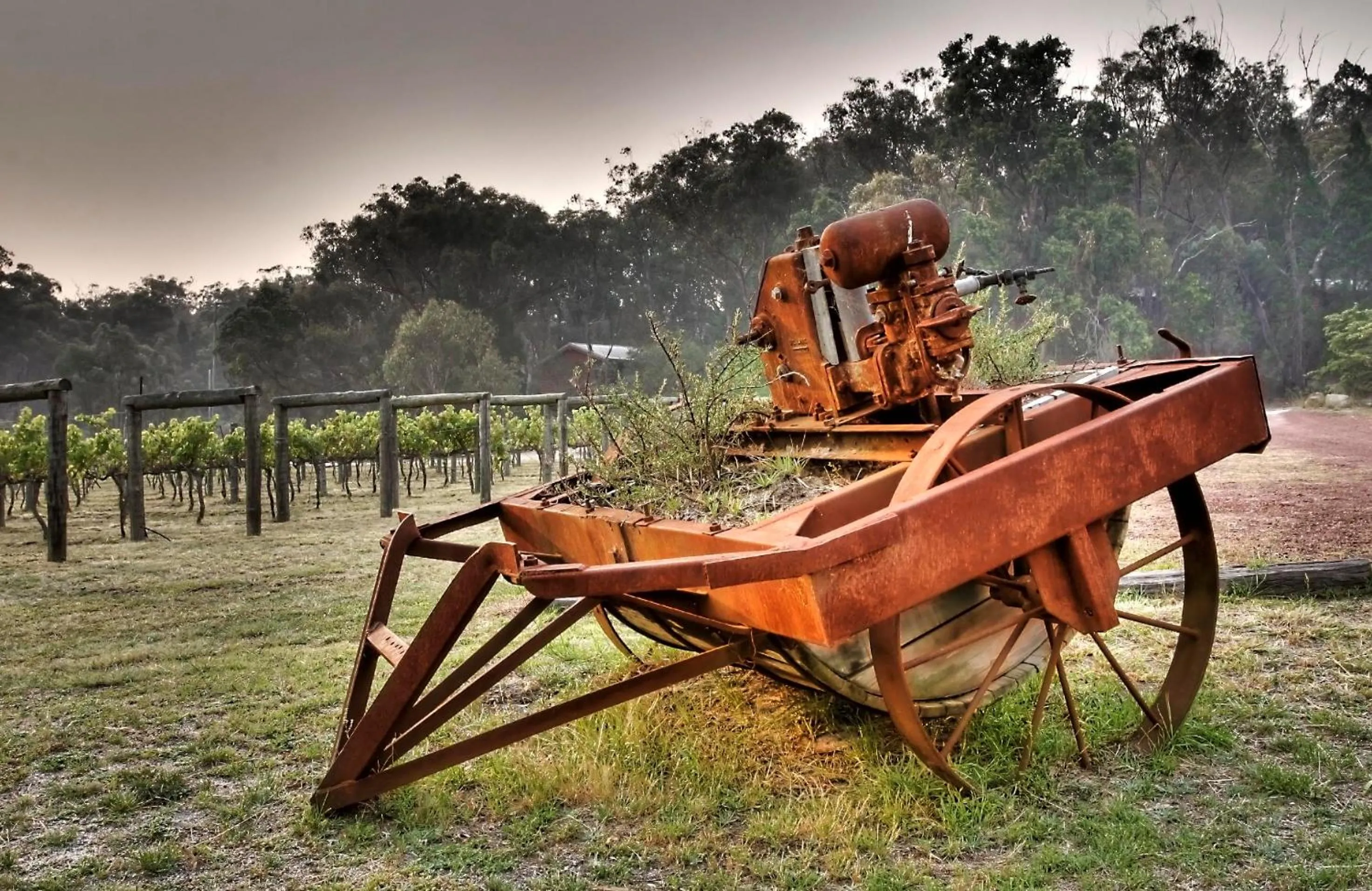 Area and facilities in Granite Belt Retreat and Brewery