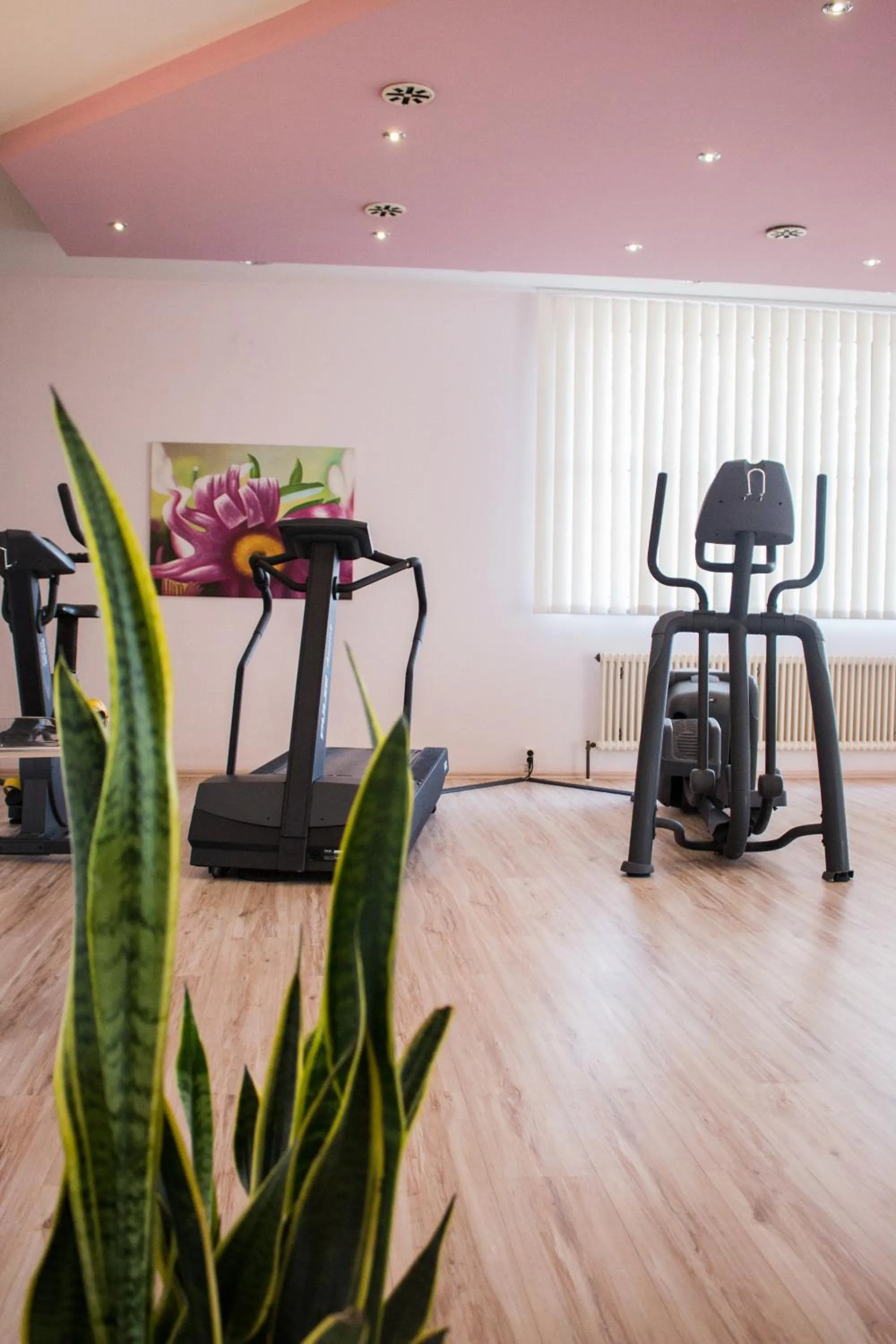 Fitness centre/facilities in Ramada by Wyndham Bottrop City