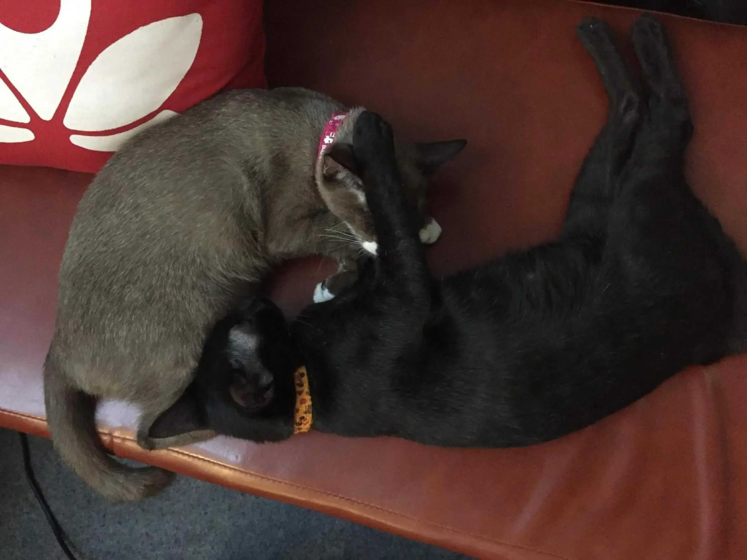 Lobby or reception in Bangkok Hub Hostel Lobby or reception in Bangkok Hub Hostel