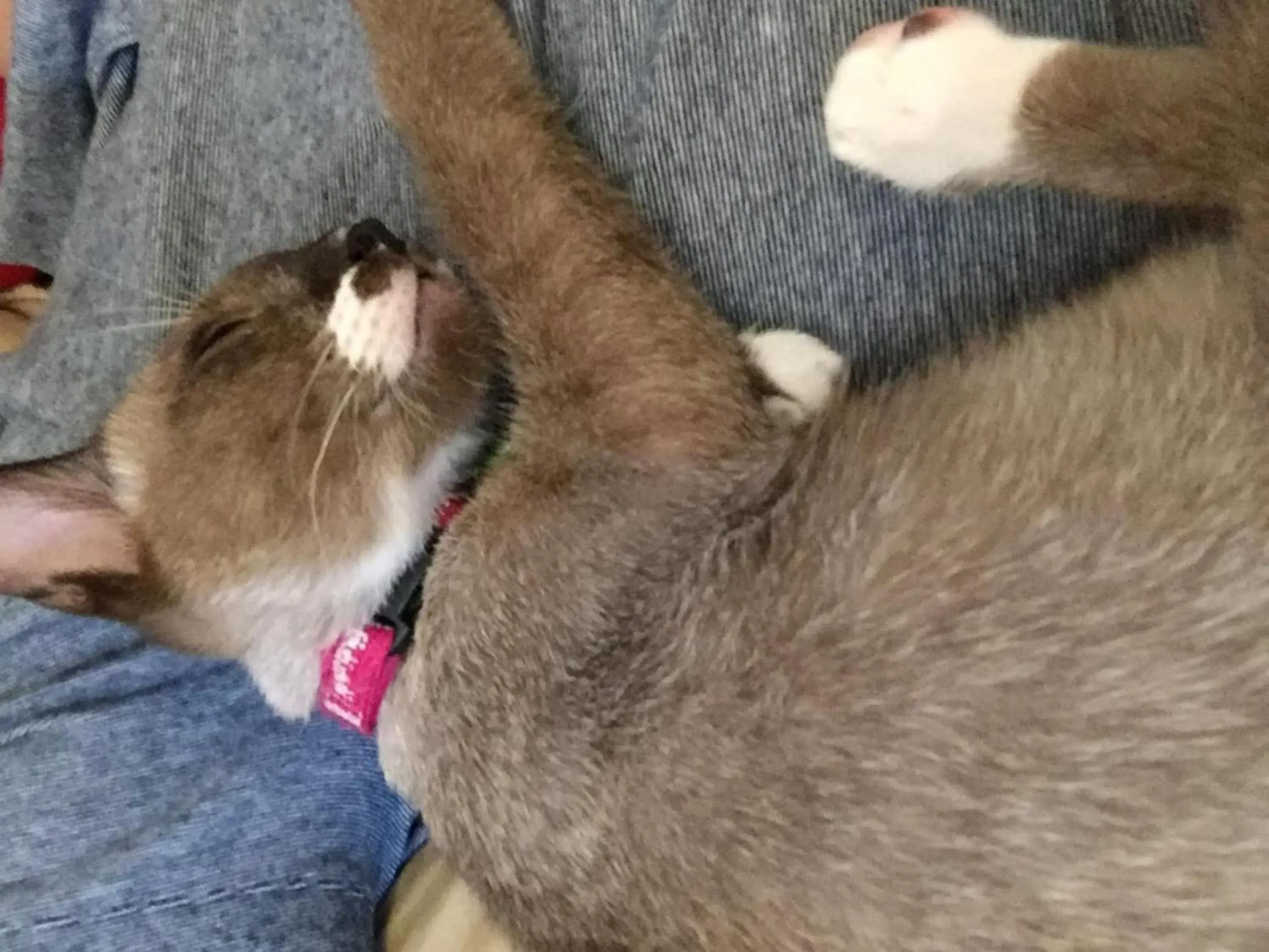 Lobby or reception in Bangkok Hub Hostel Lobby or reception in Bangkok Hub Hostel