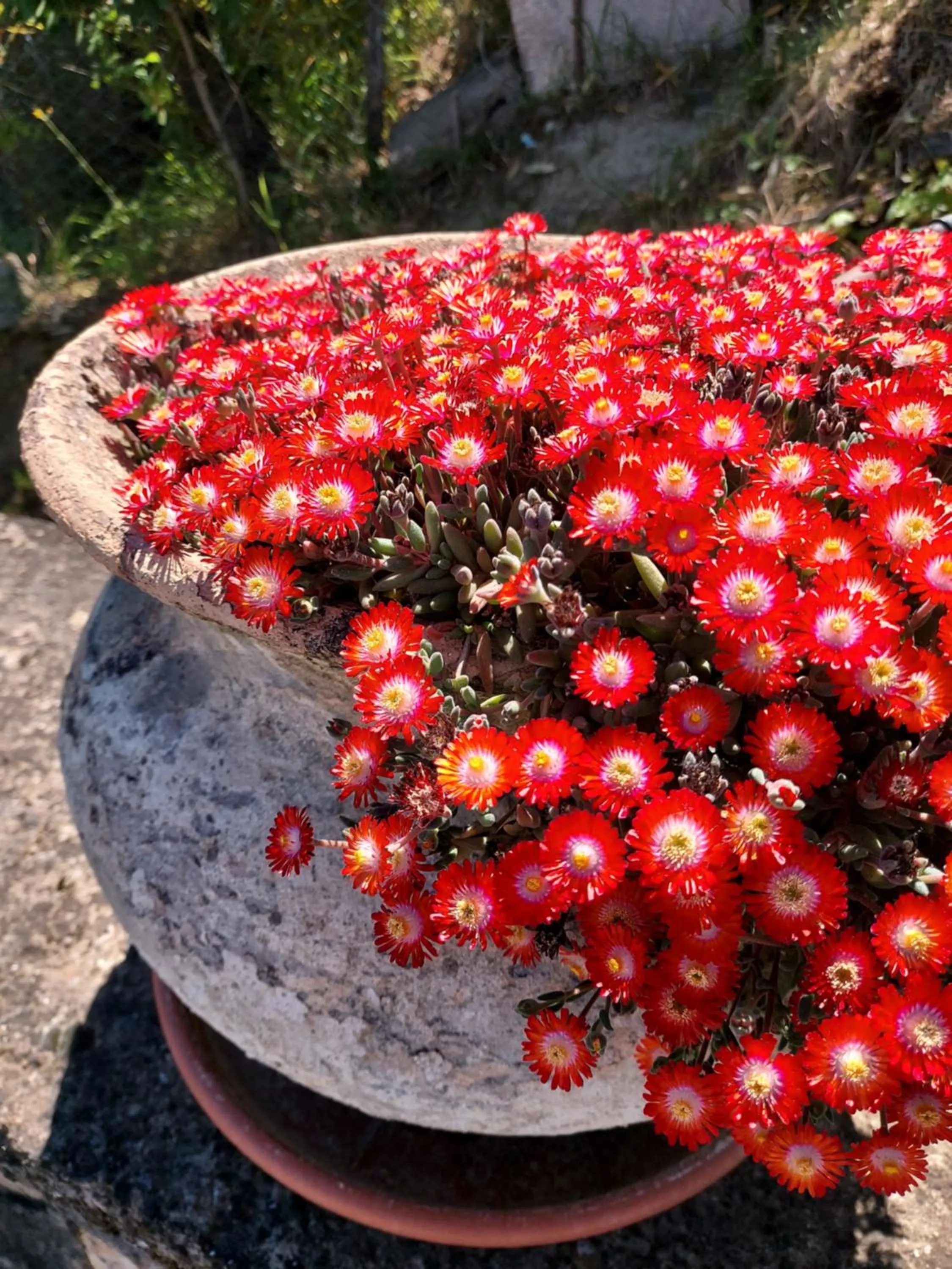 Spring in Montebello Park Hotel