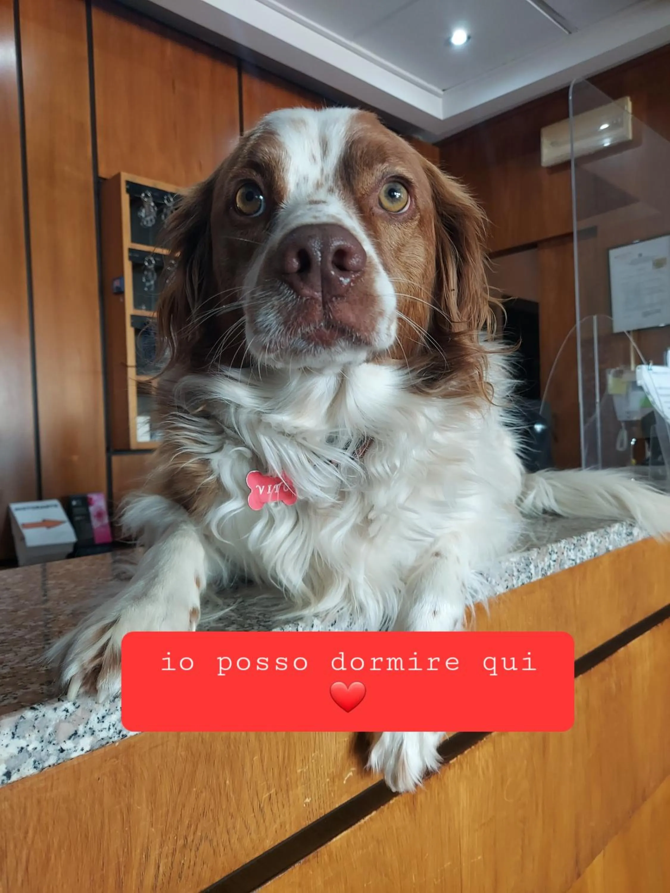 Text overlay in Montebello Park Hotel