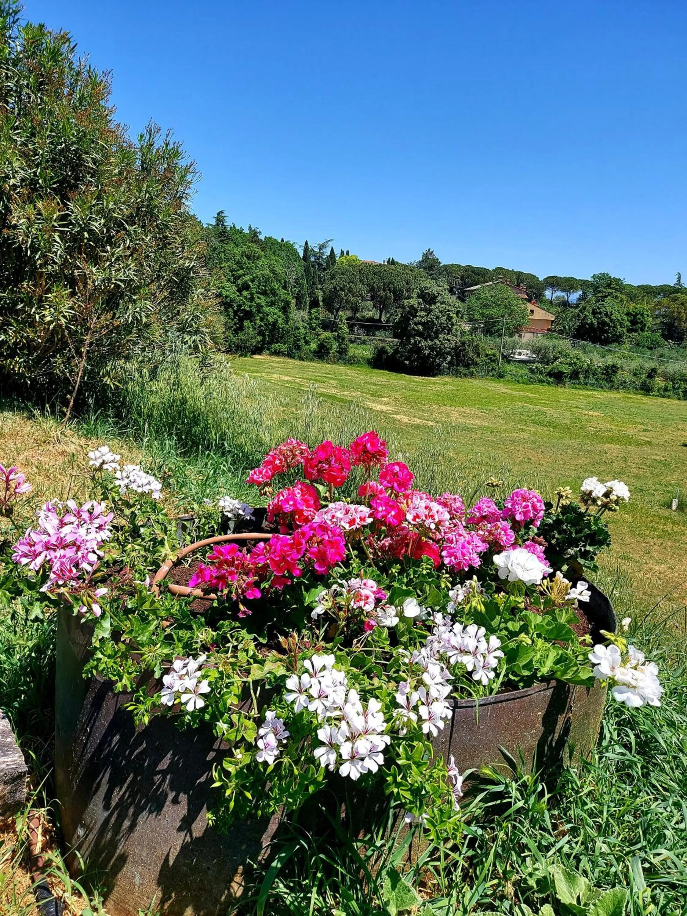 Natural landscape in Montebello Park Hotel