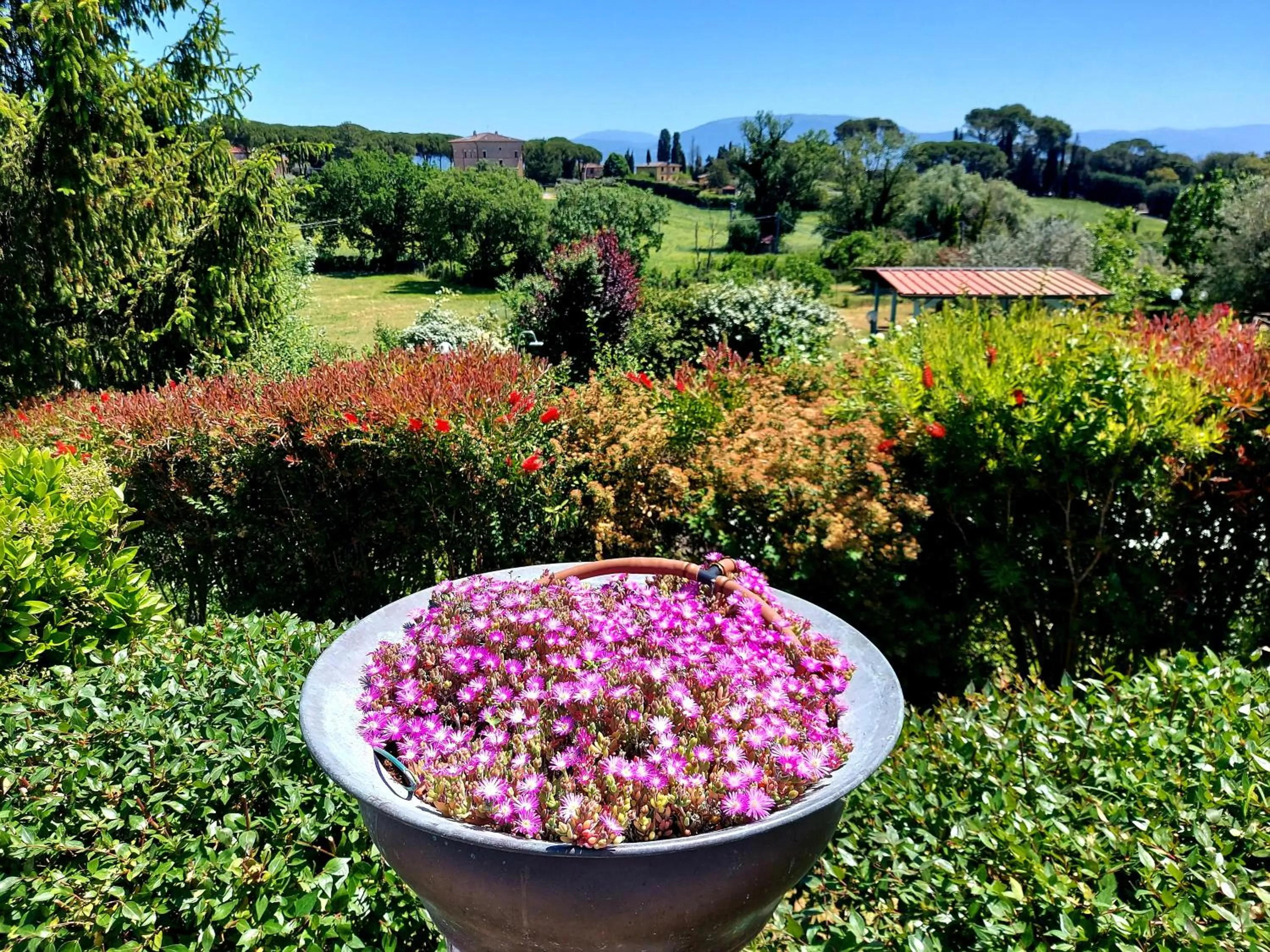 Natural landscape in Montebello Park Hotel