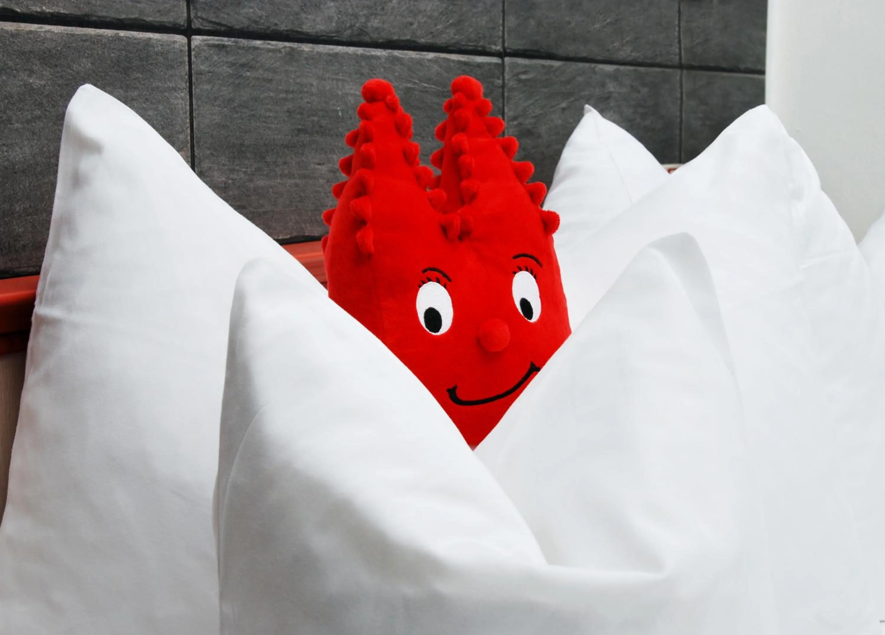 Other in Hotel Ludwig Superior