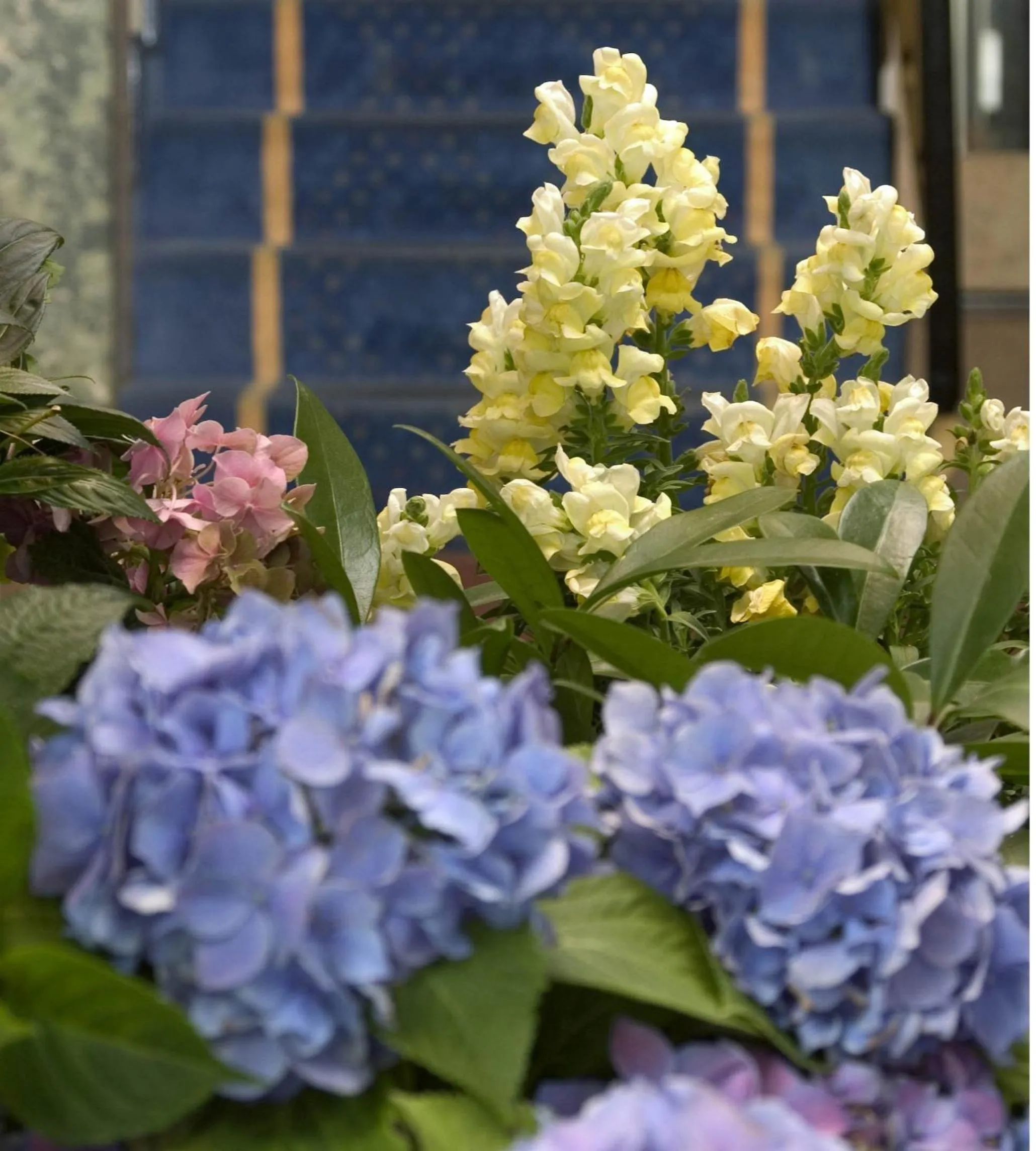 Decorative detail in Hotel Ludwig Superior