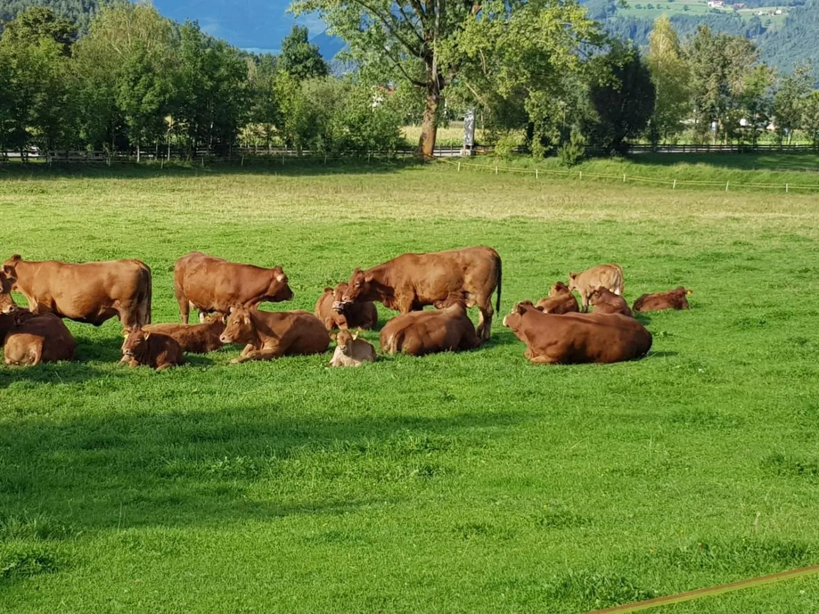Natural landscape in Residence Untermoarhof