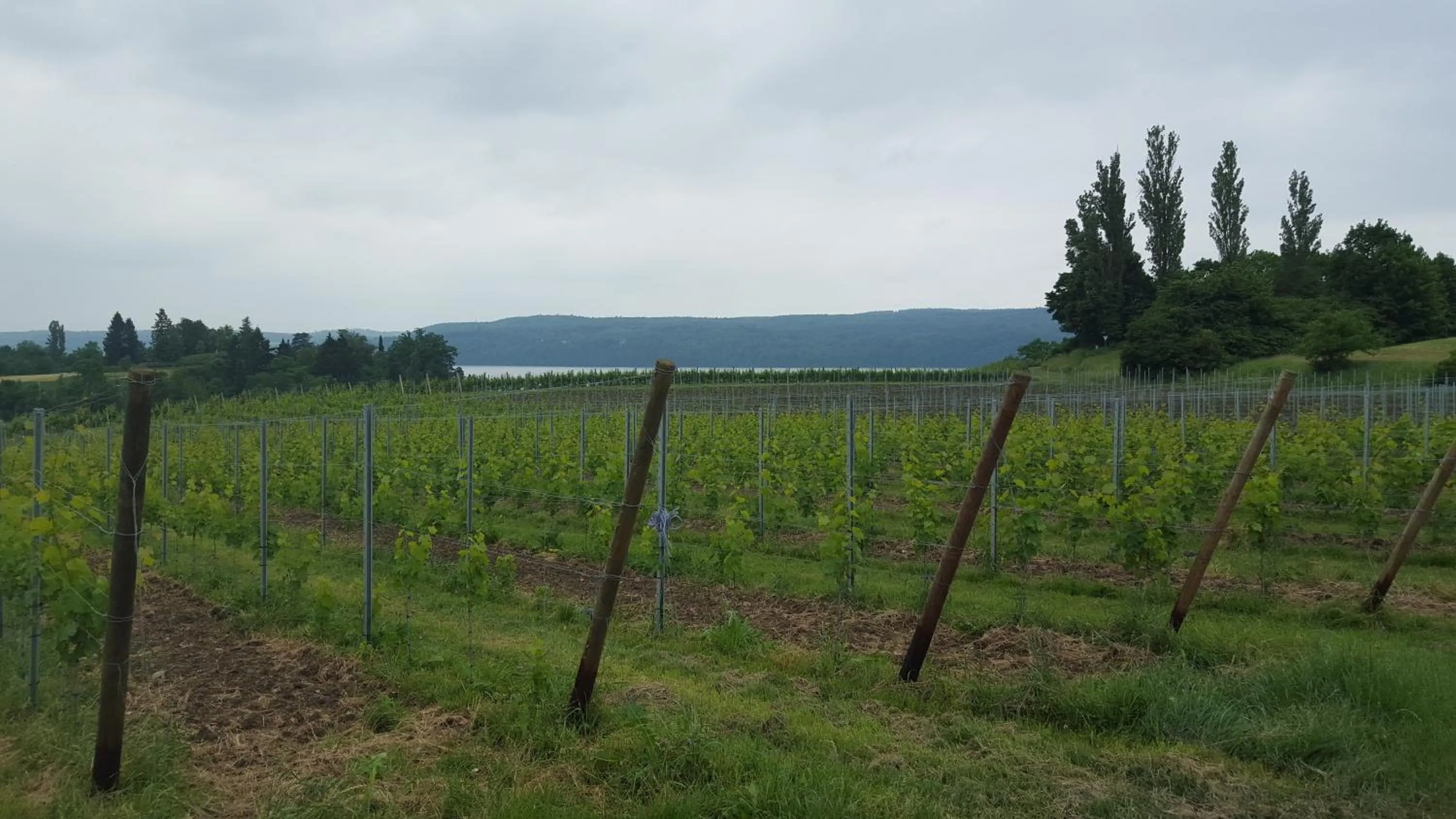Nearby landmark in Ankes Wohlfühlpension