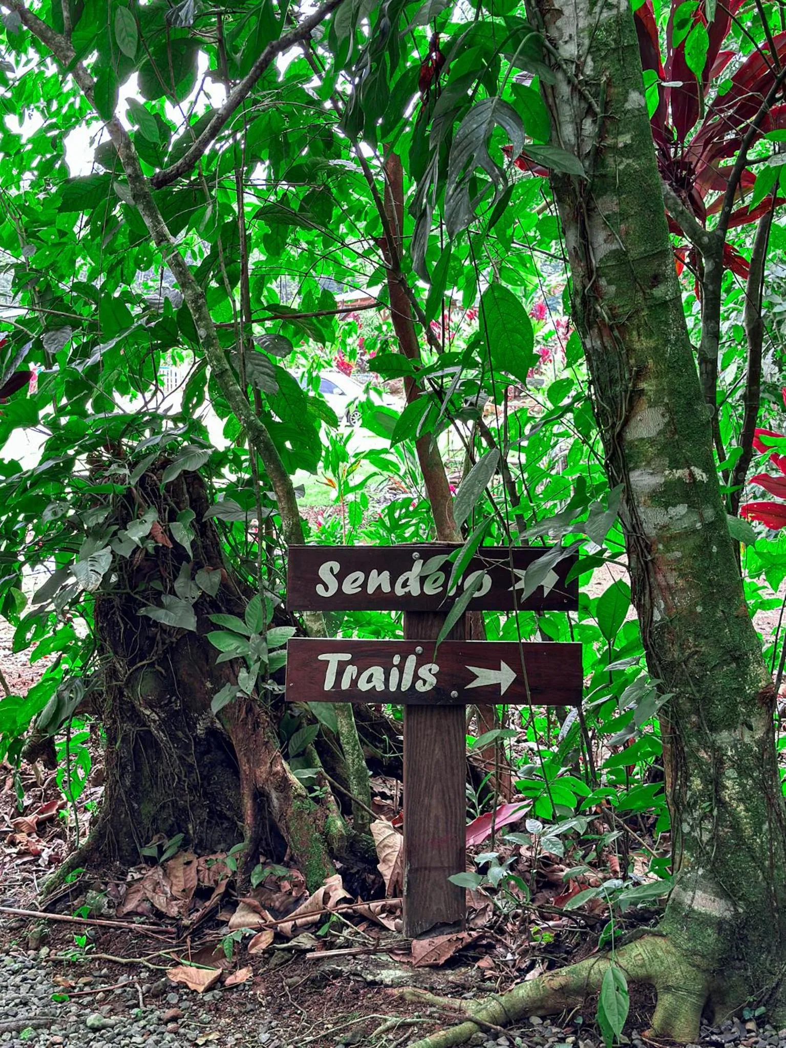 Mountain view in Cabañas Río Escondido en La Fortuna