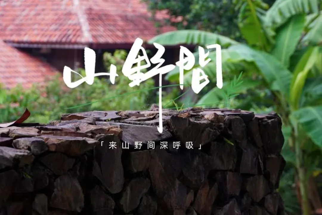 S`ekar Pinang Langkawi