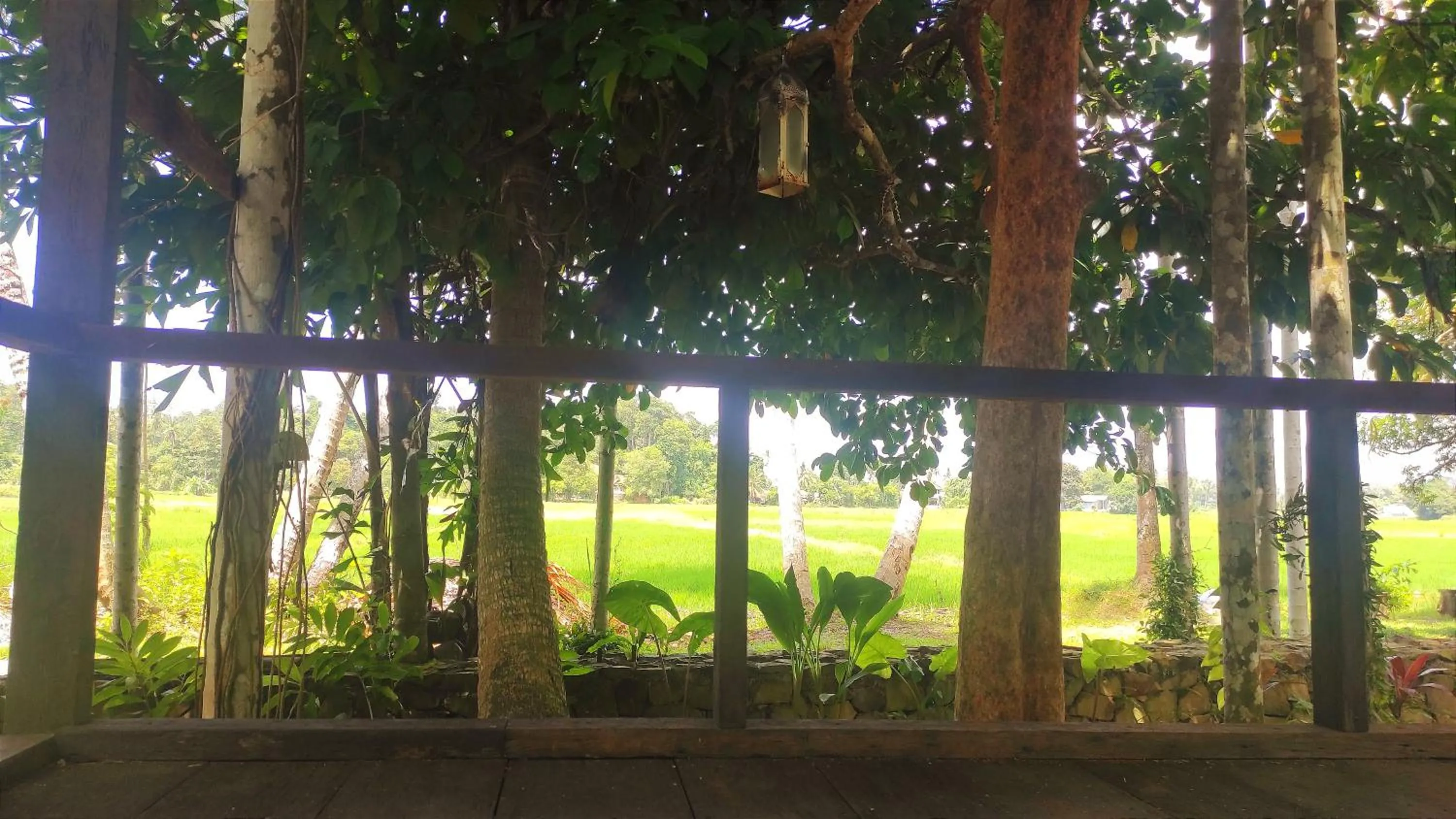 S`ekar Pinang Langkawi