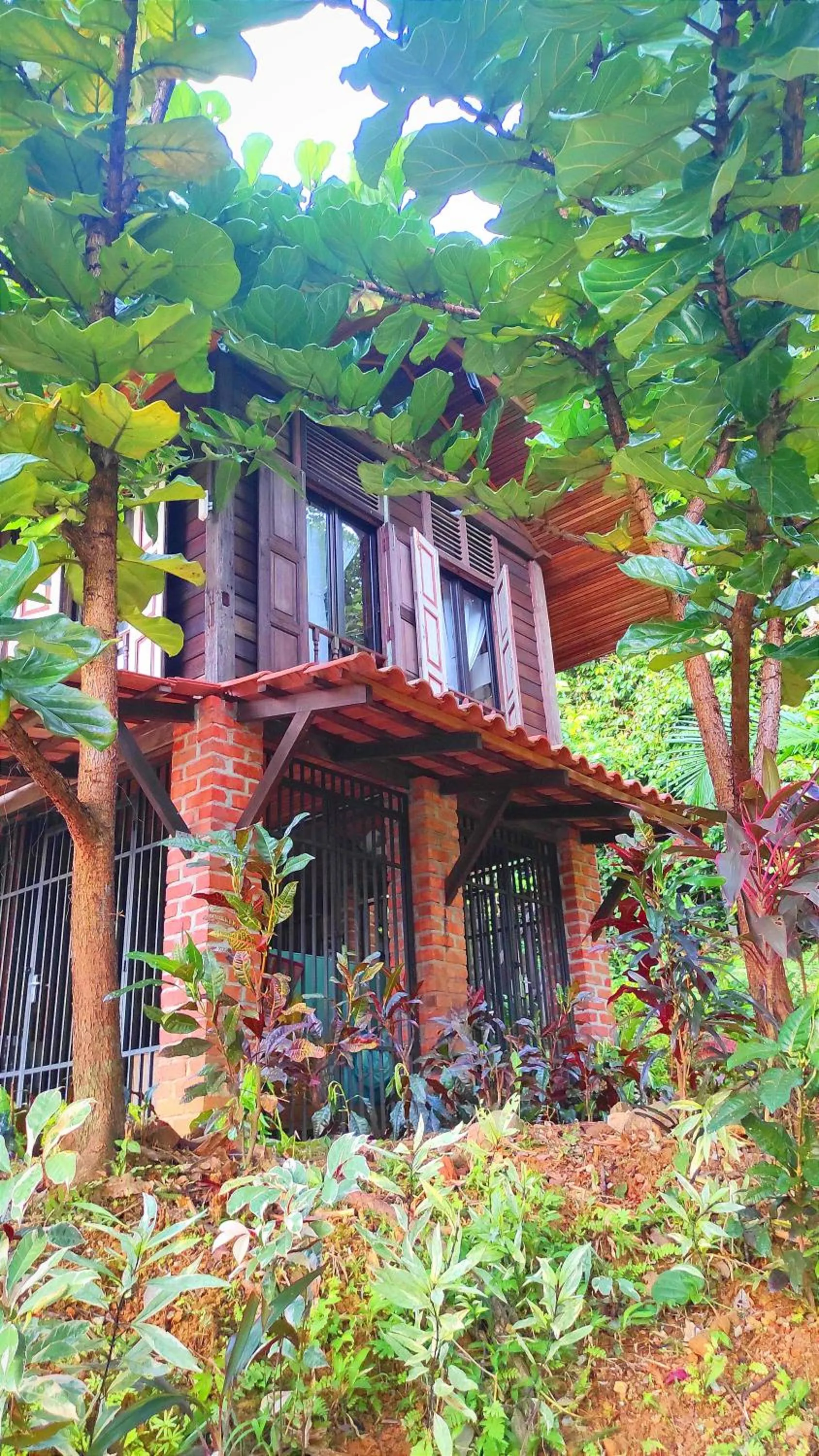 S`ekar Pinang Langkawi