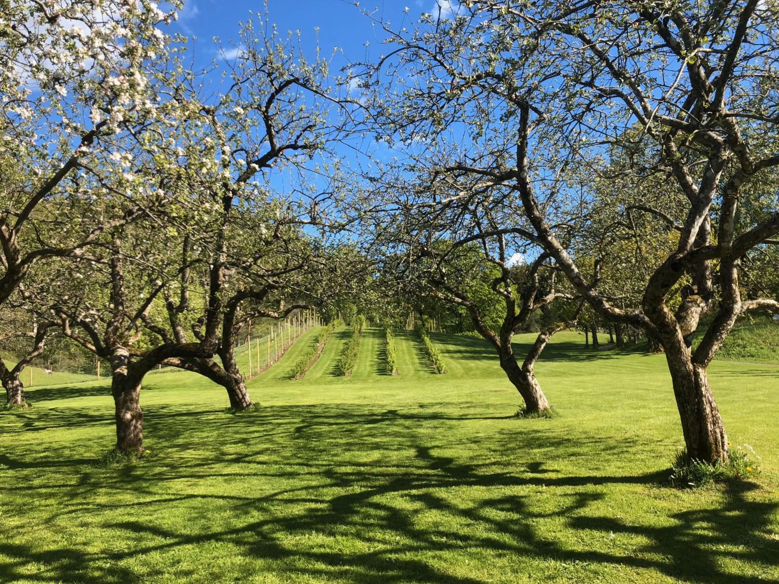 Property building in Boen Gård