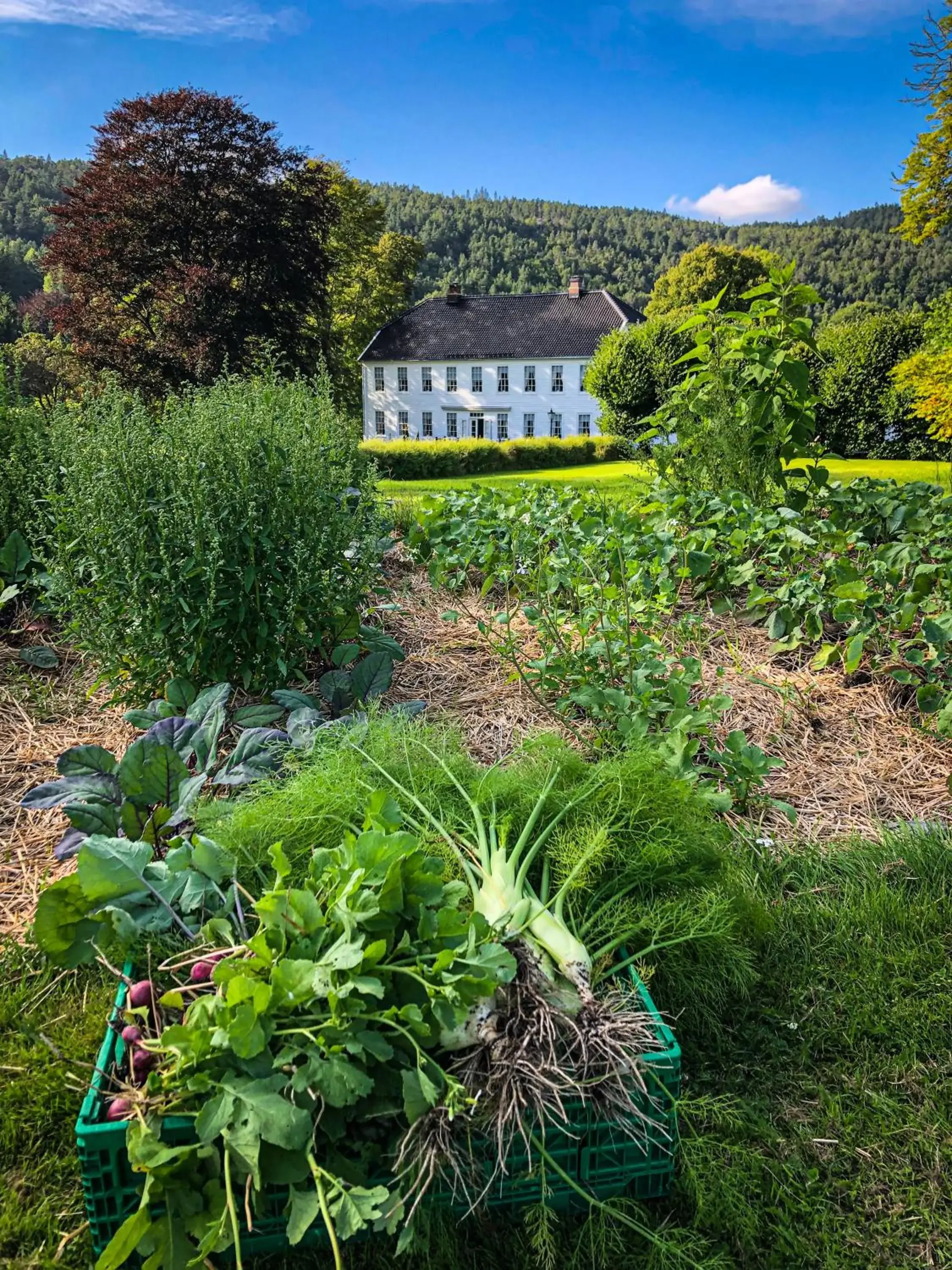 Property building in Boen Gård Property building in Boen Gård