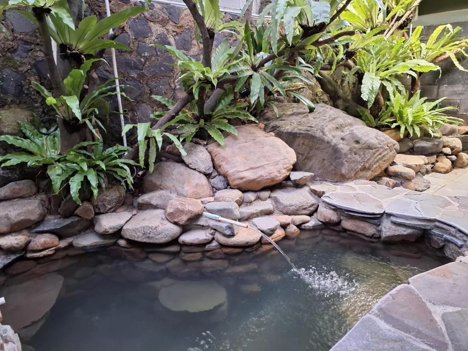 Pool view in Tirta Arsanta Hot Springs & Villa