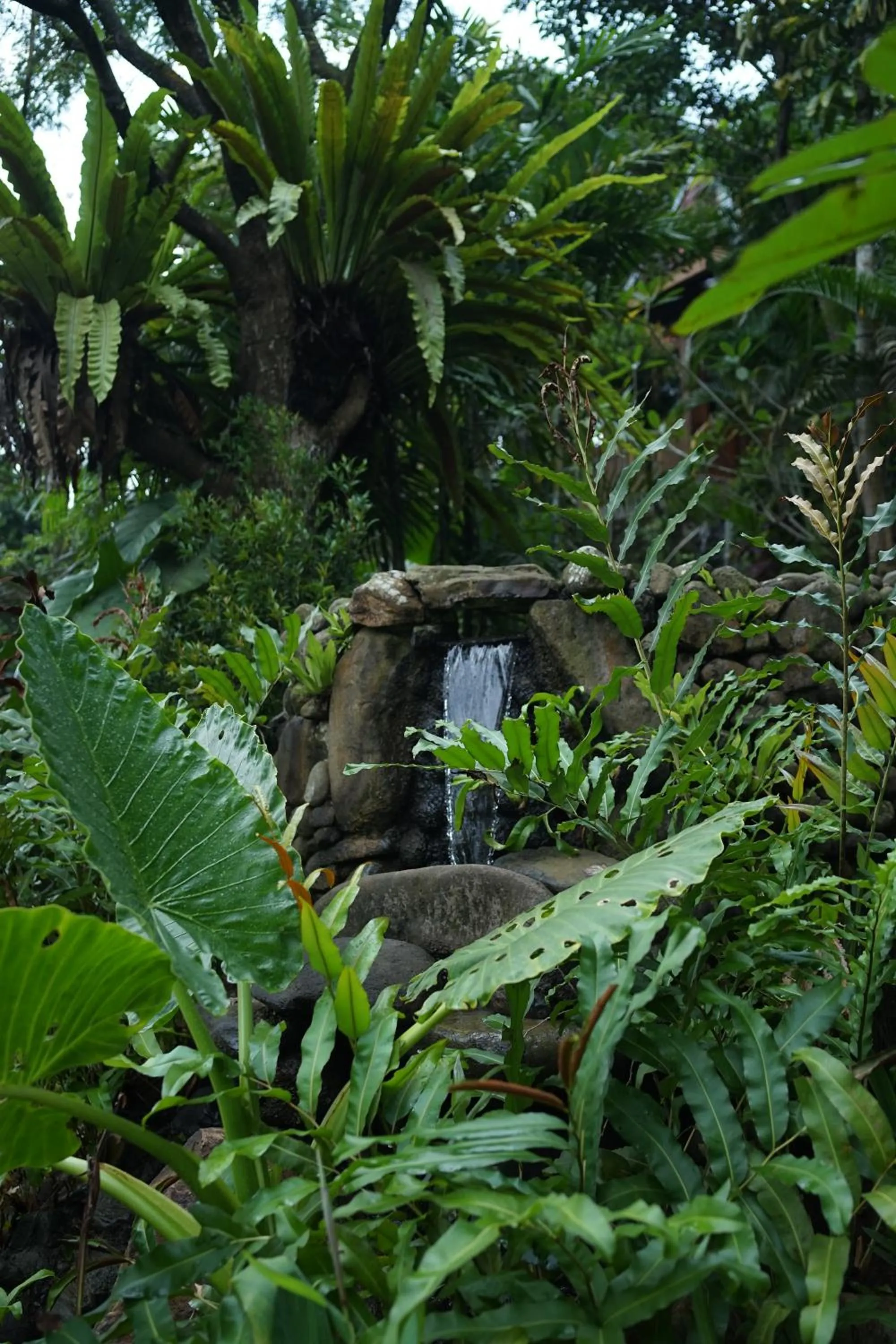 Natural landscape in Tirta Arsanta Hot Springs & Villa