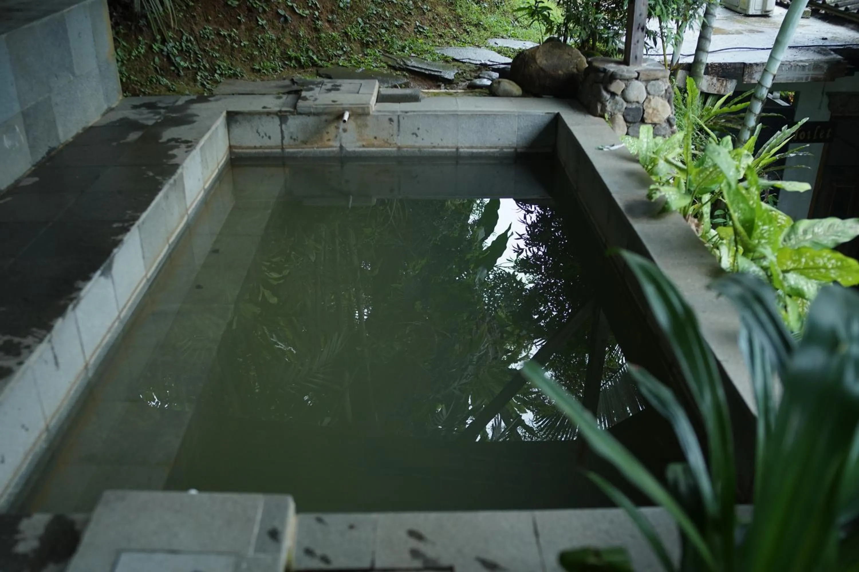 Swimming pool in Tirta Arsanta Hot Springs & Villa