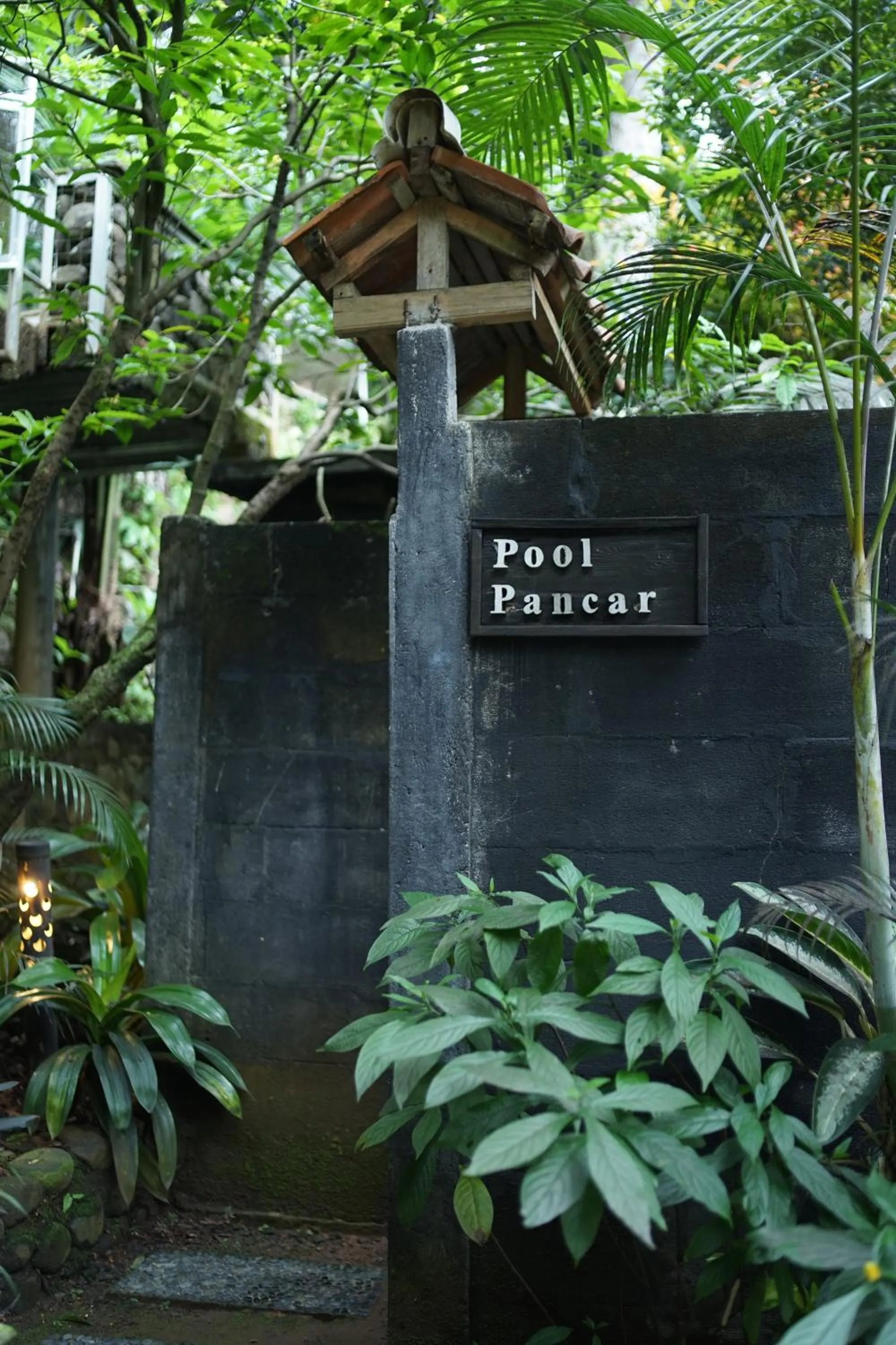 Pool view in Tirta Arsanta Hot Springs & Villa