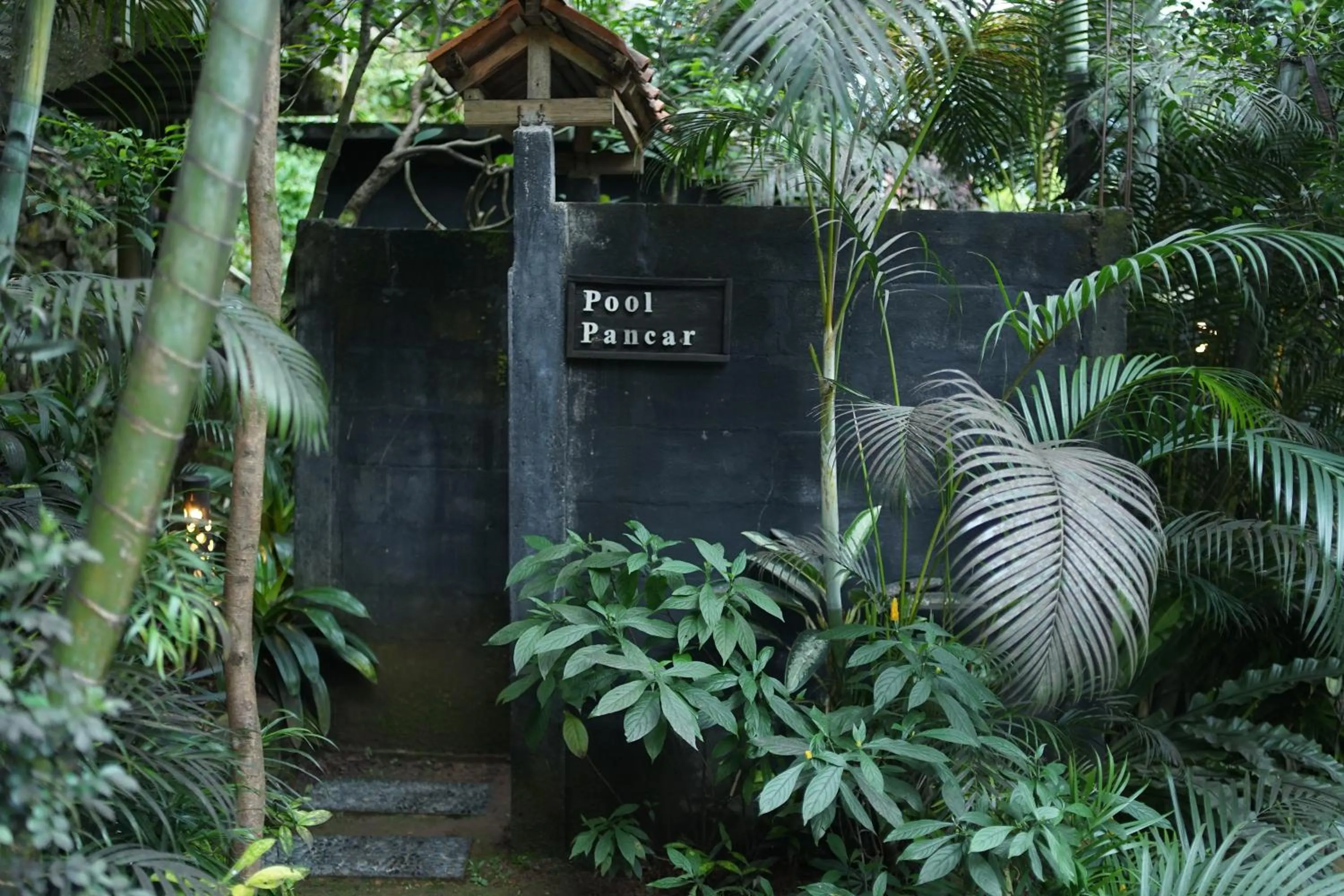 Tirta Arsanta Hot Springs & Villa