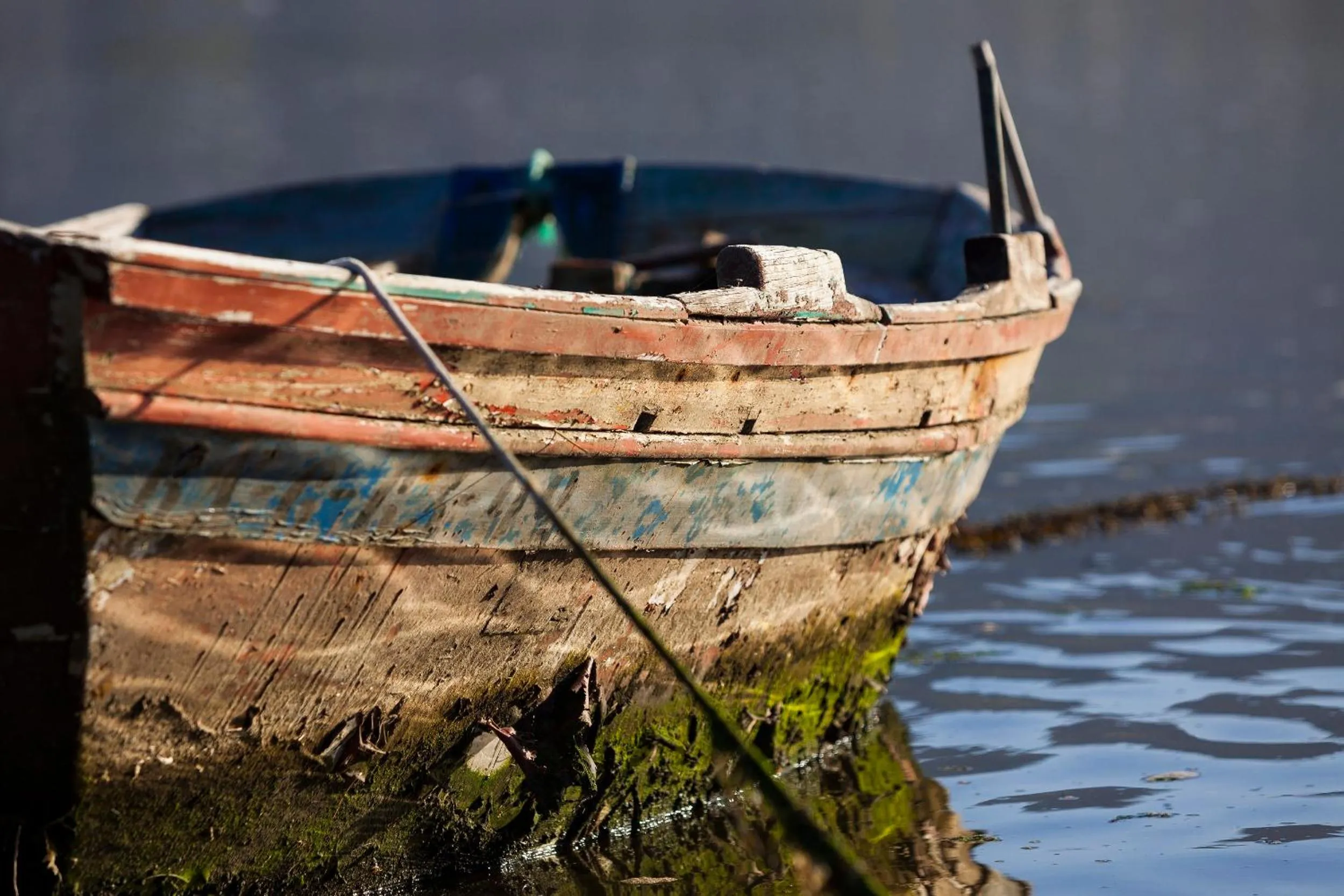 Natural landscape in Hotel Arce