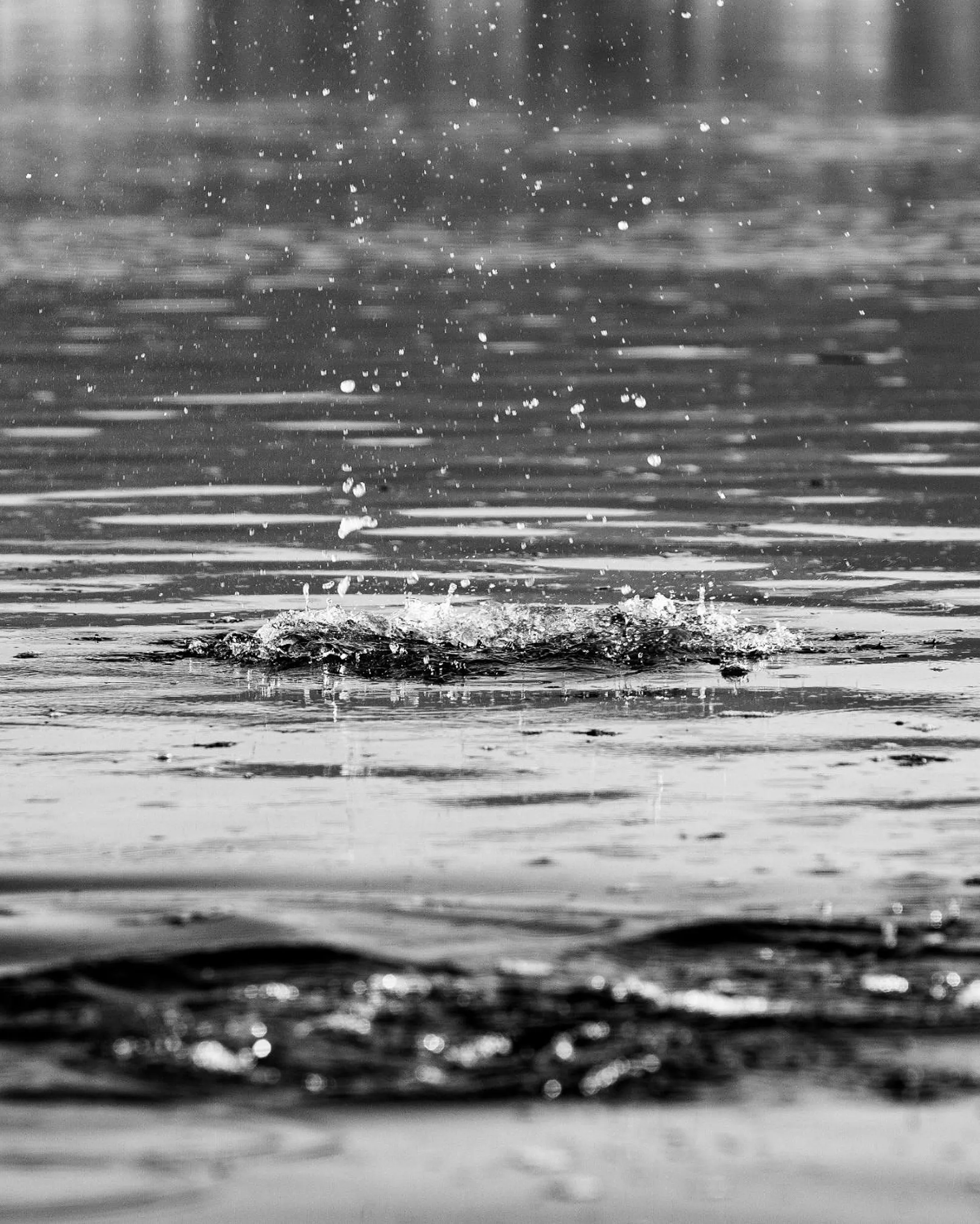 Natural landscape in Hotel Arce