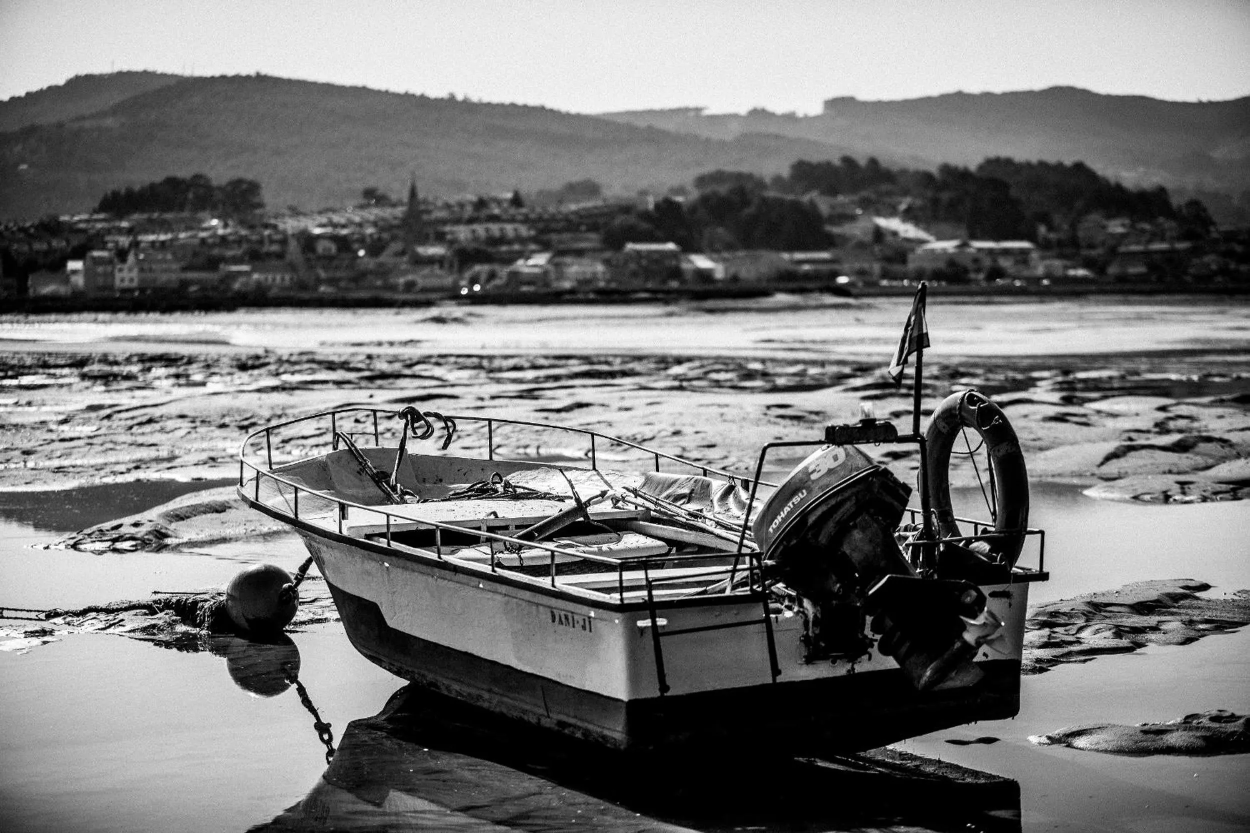 Natural landscape in Hotel Arce