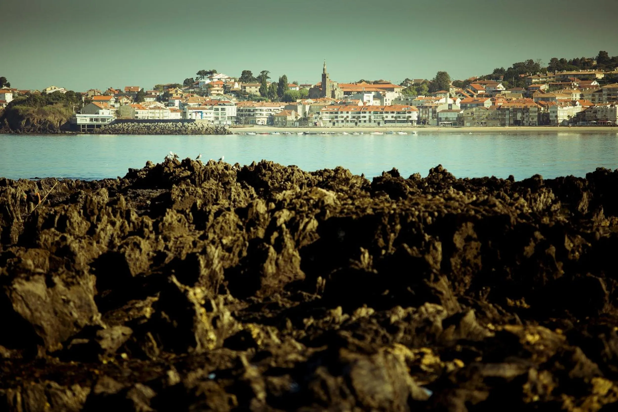 Natural landscape in Hotel Arce