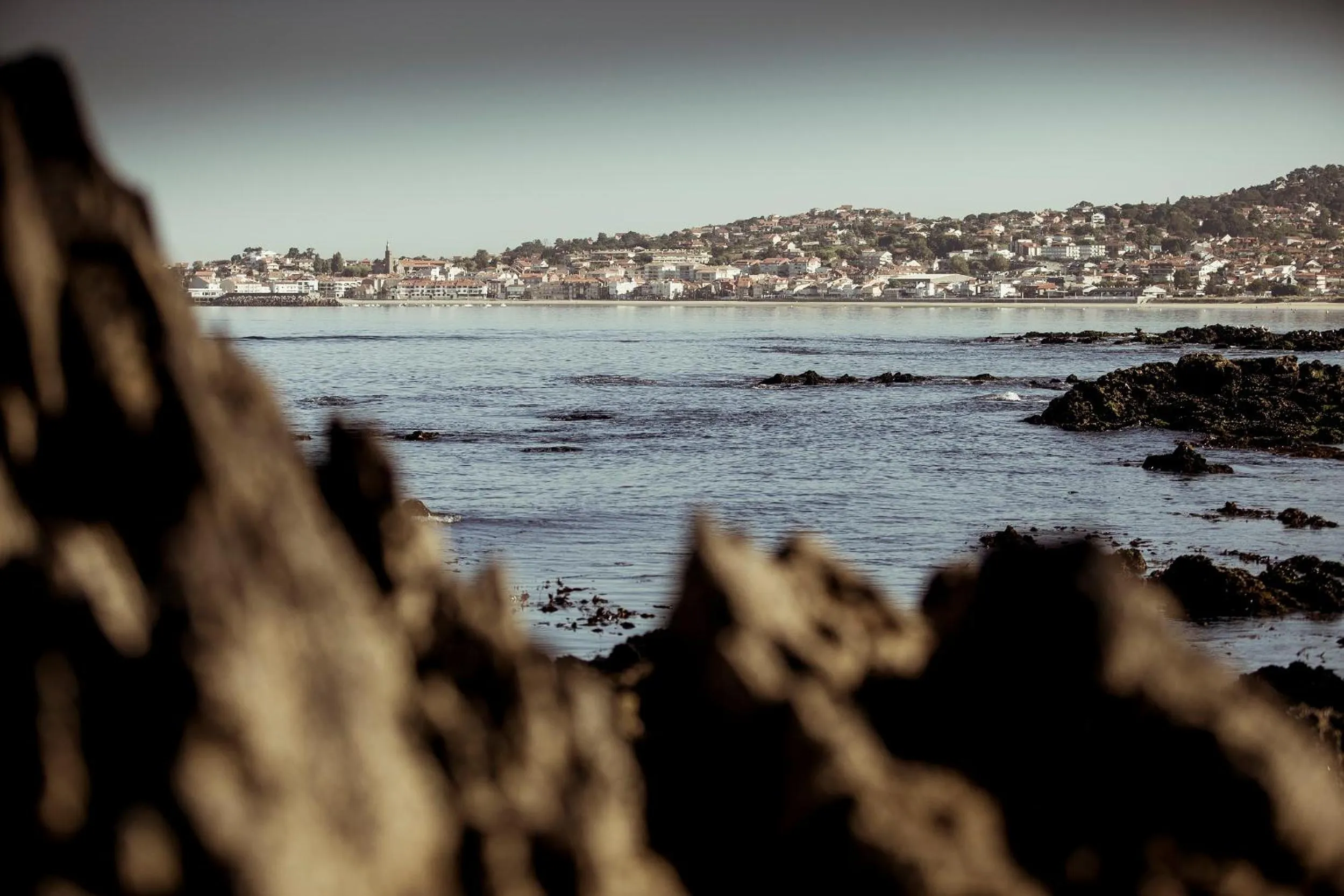 Natural landscape in Hotel Arce