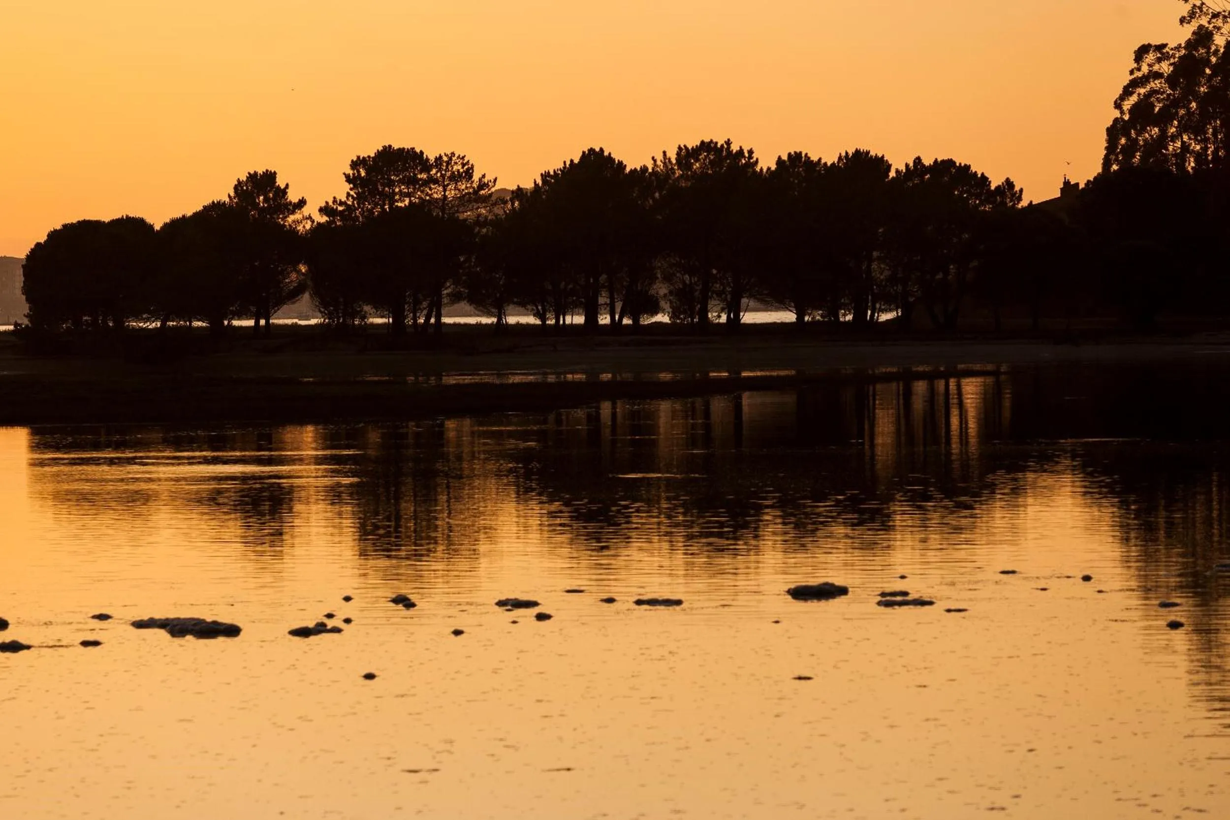 Natural landscape in Hotel Arce