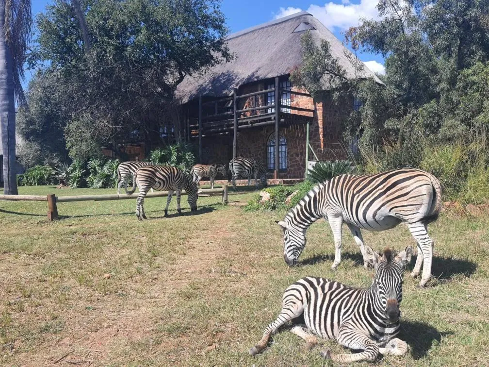 Glen Afric Country Lodge
