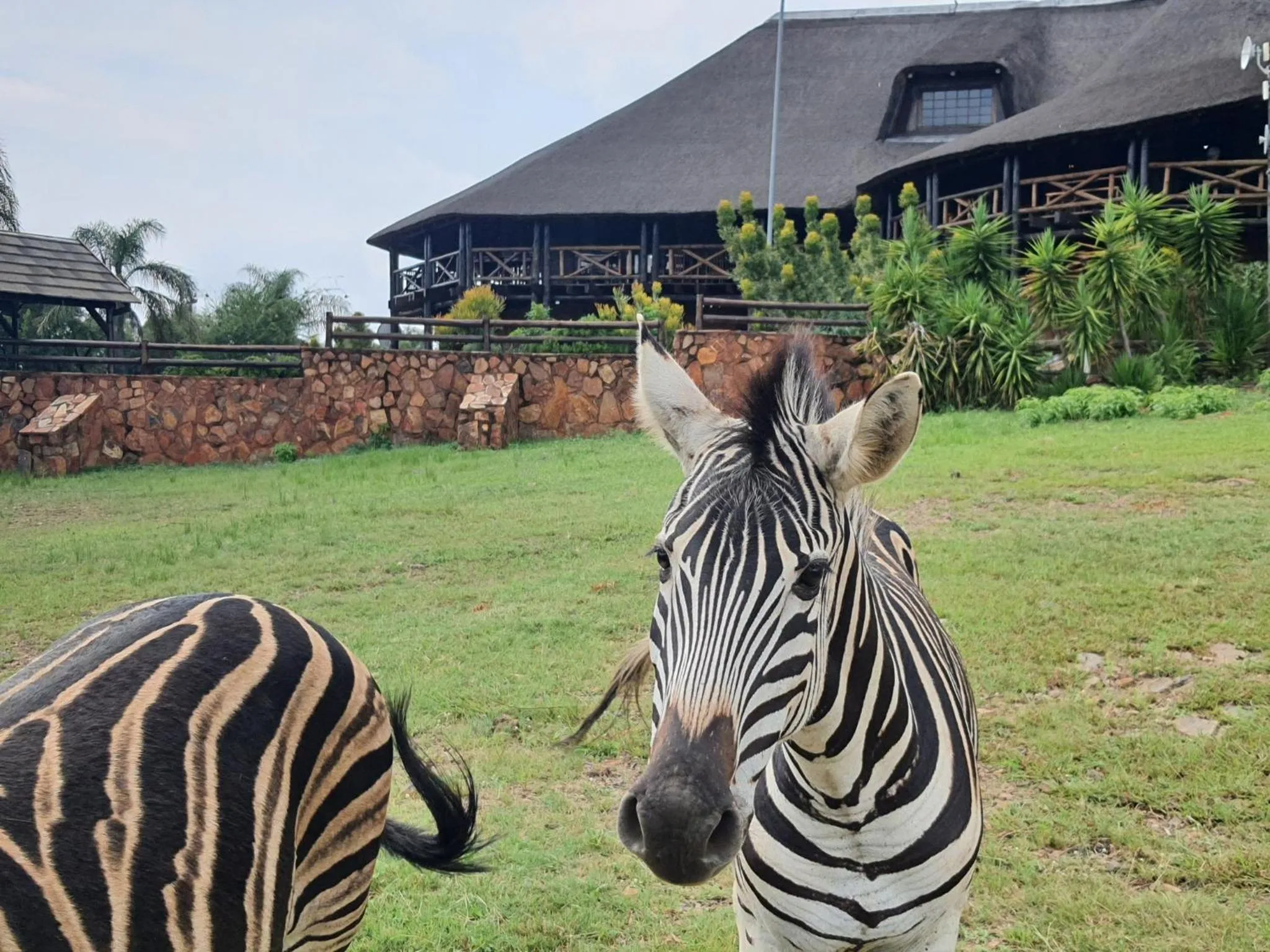 Glen Afric Country Lodge