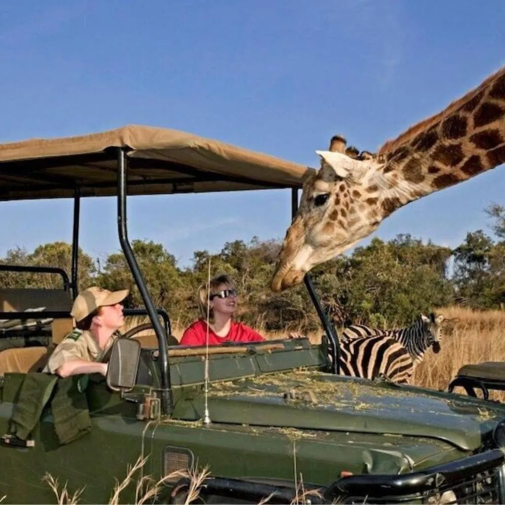 Glen Afric Country Lodge