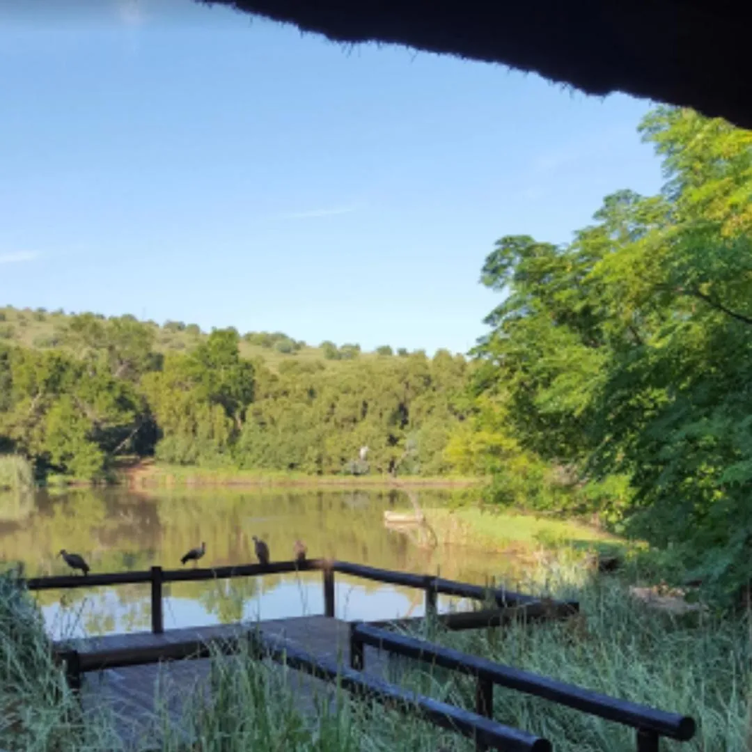 Glen Afric Country Lodge