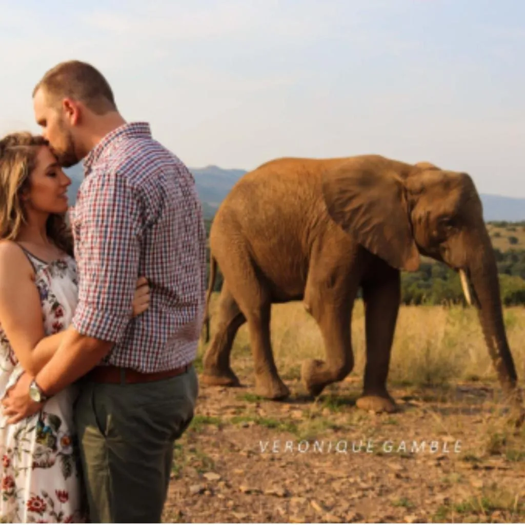 Glen Afric Country Lodge