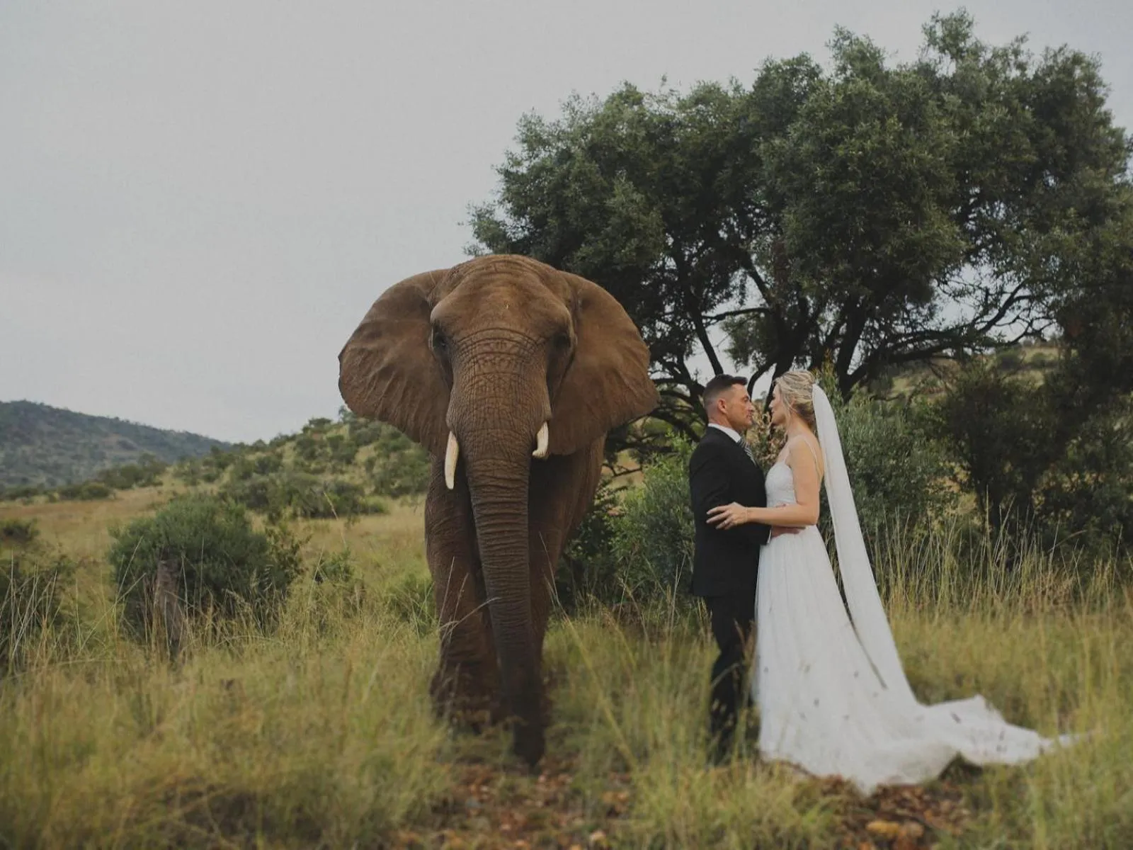 Activities in Glen Afric Country Lodge