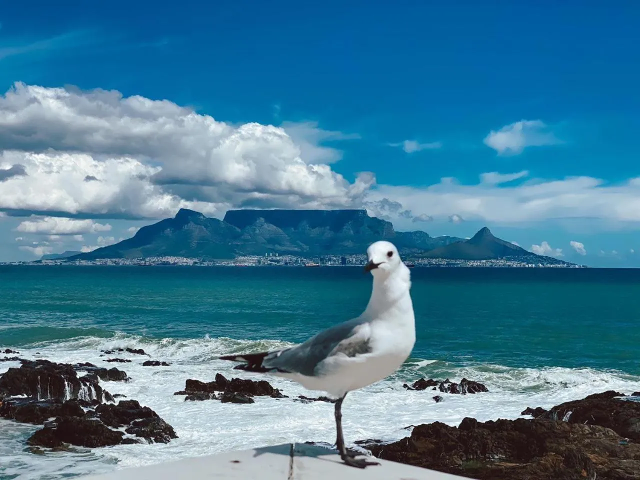 View (from property/room) in Belle Maroc Boutique Hotel
