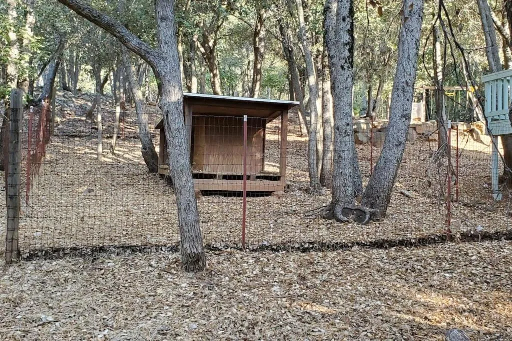 Pets in Pine Hills Cabin in Julian