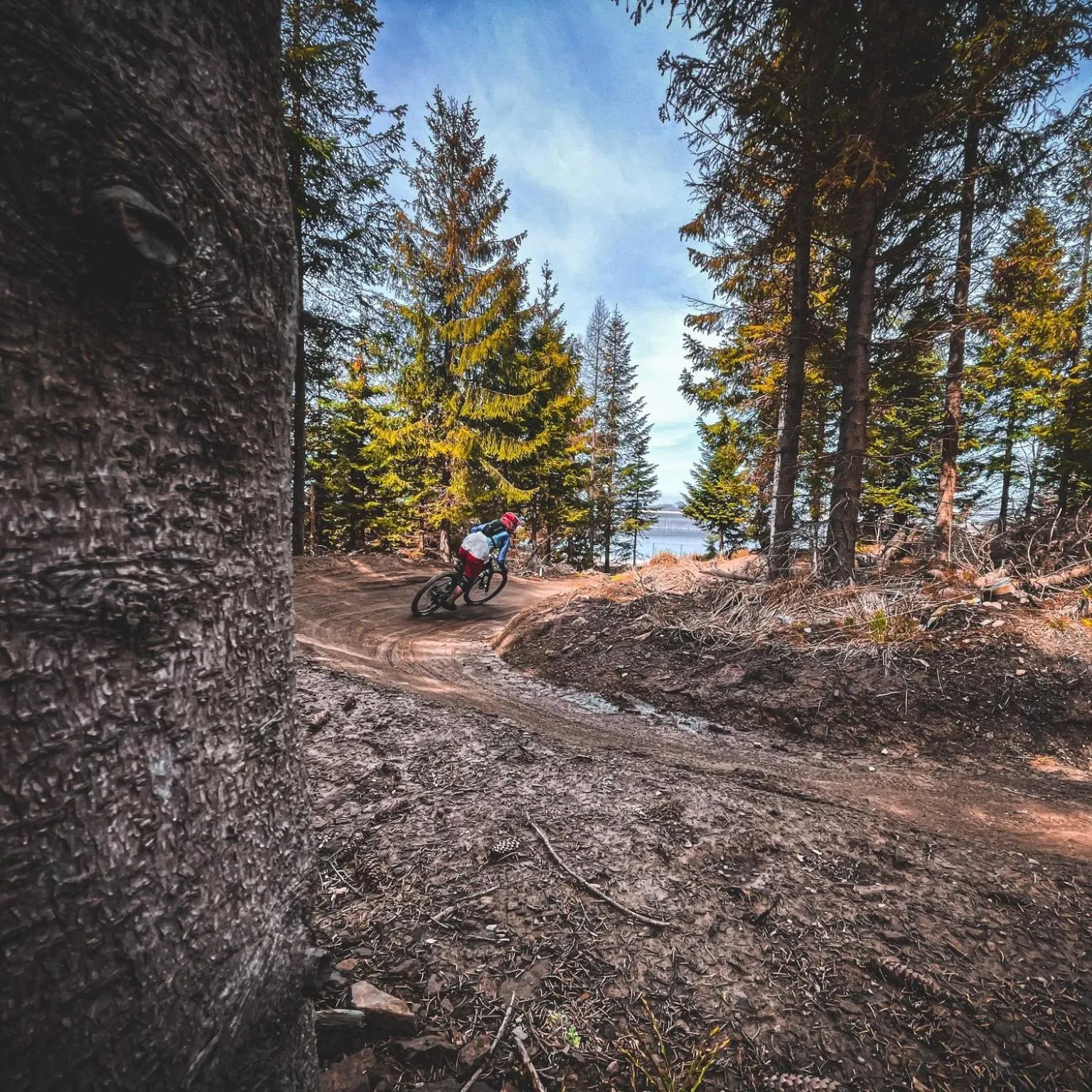 Cycling in Apartament Olympic - Beskidy To Tu