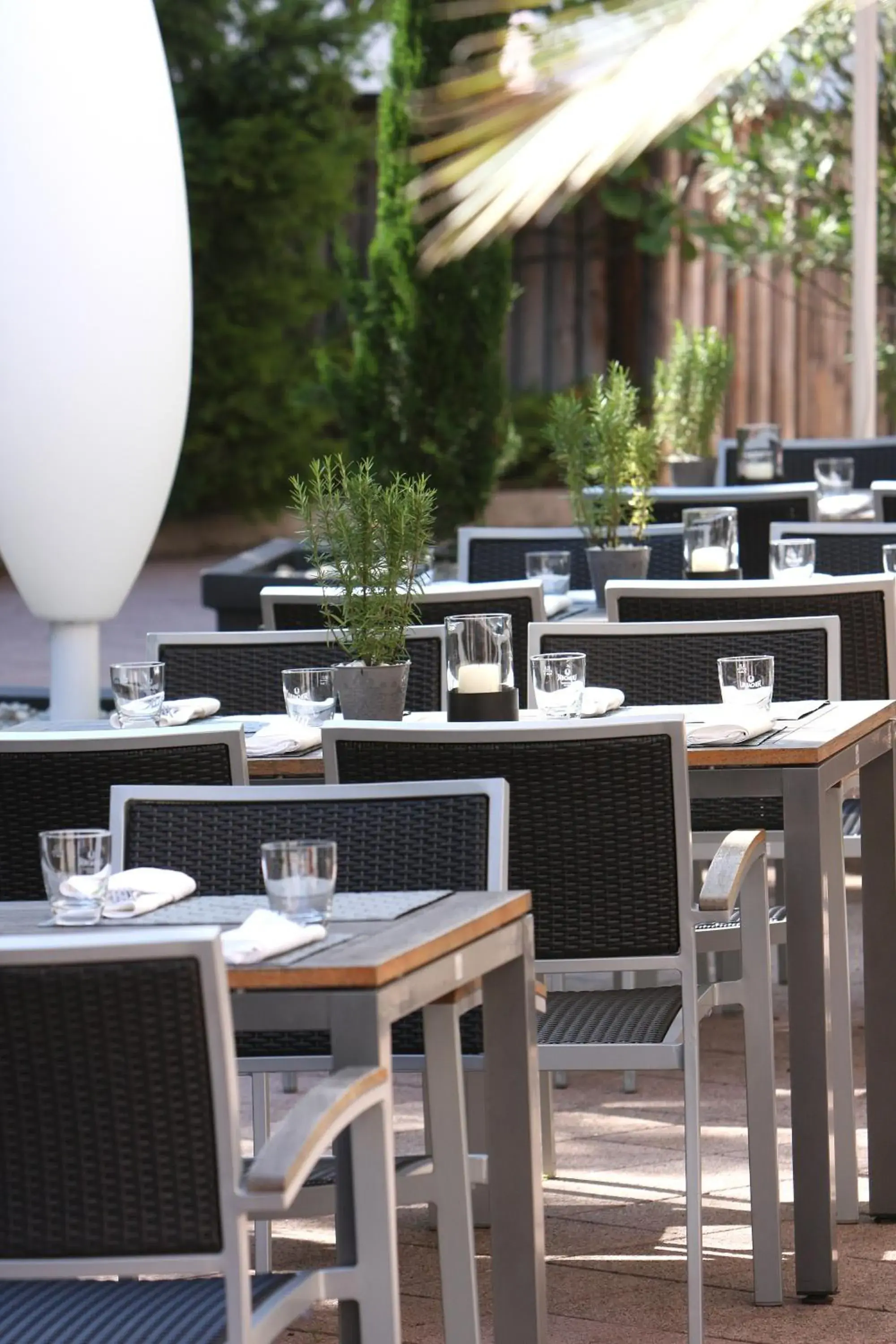 Restaurant/places to eat in Hotel Gloria Superior Restaurant/places to eat in Hotel Gloria Superior