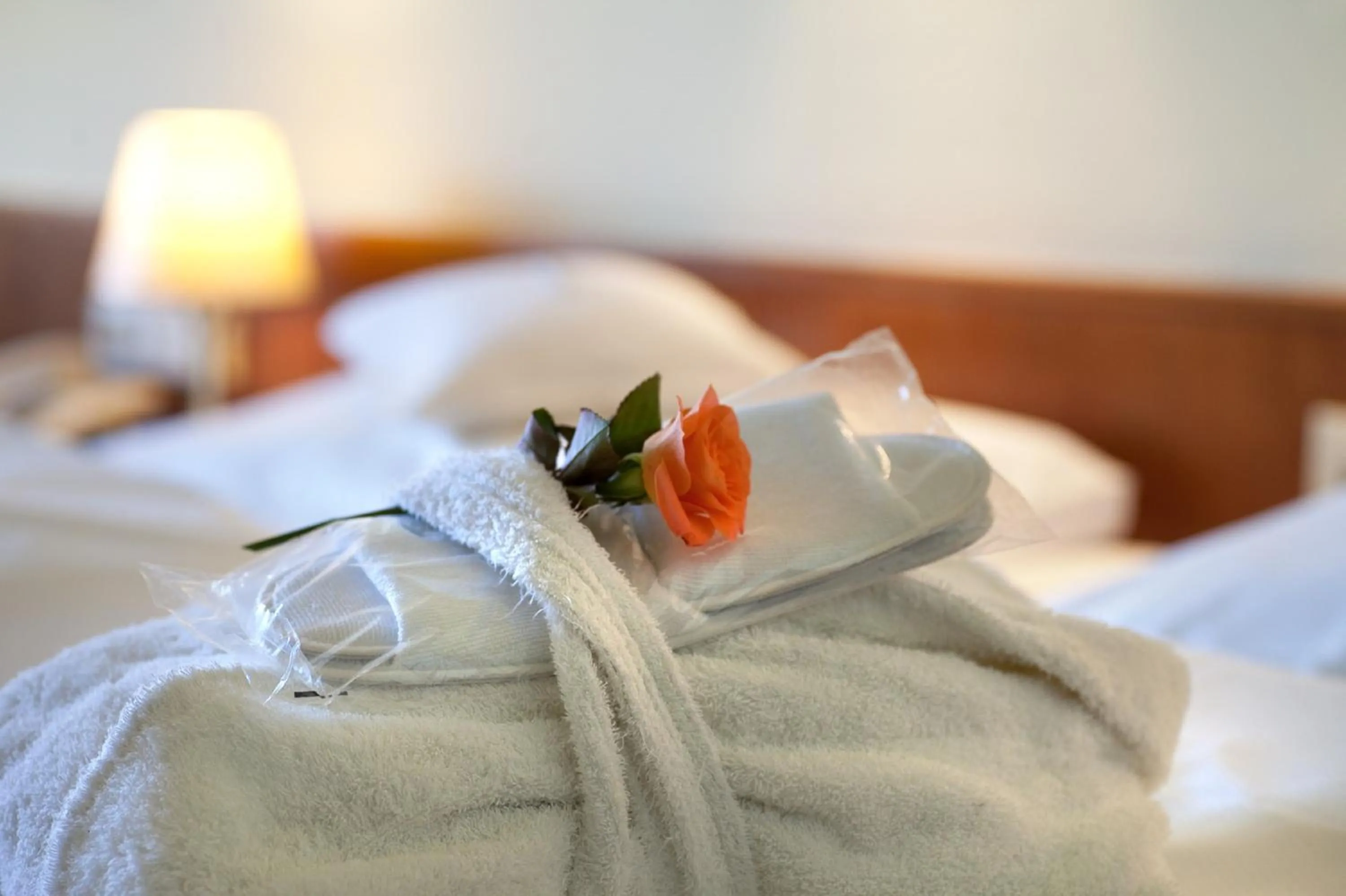 Decorative detail, Bed in Hotel am Rosengarten