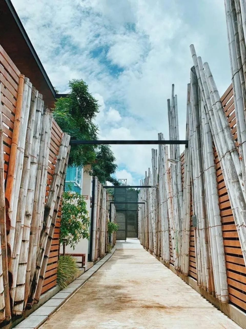 Charcoal Panwa Beach Phuket