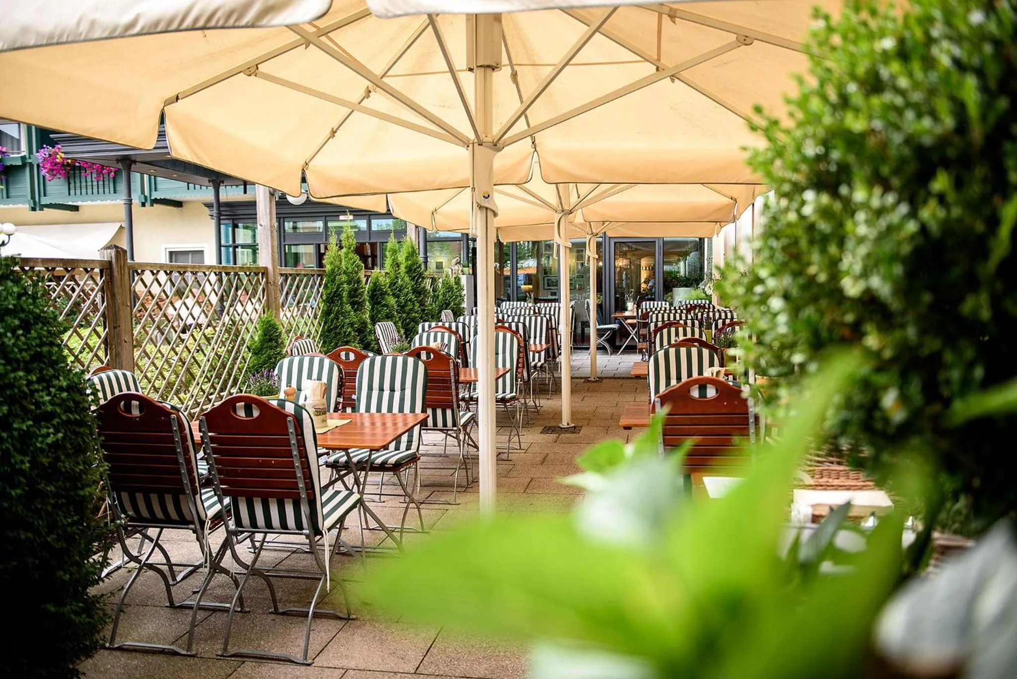 Balcony/Terrace in Bauer Hotel und Restaurant