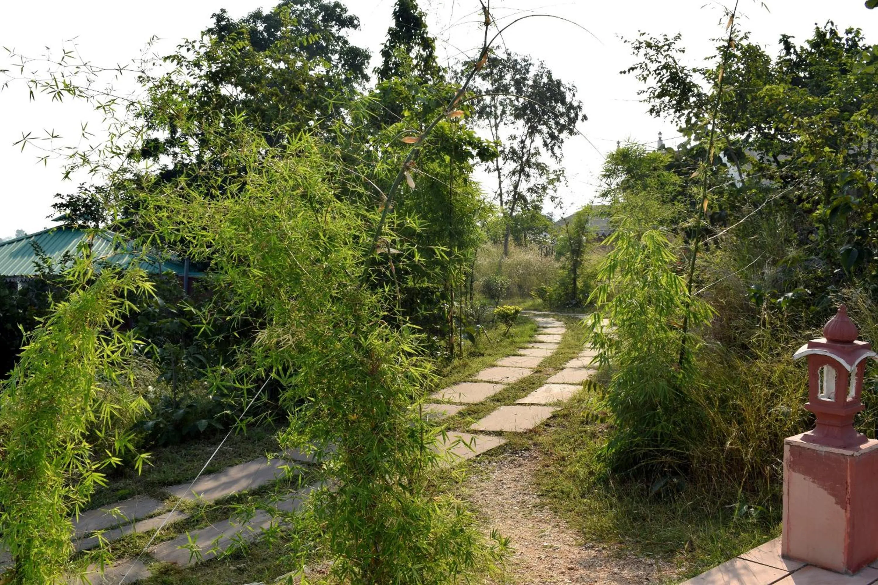 Property building in The Sky Imperial Jungle Camp Resort