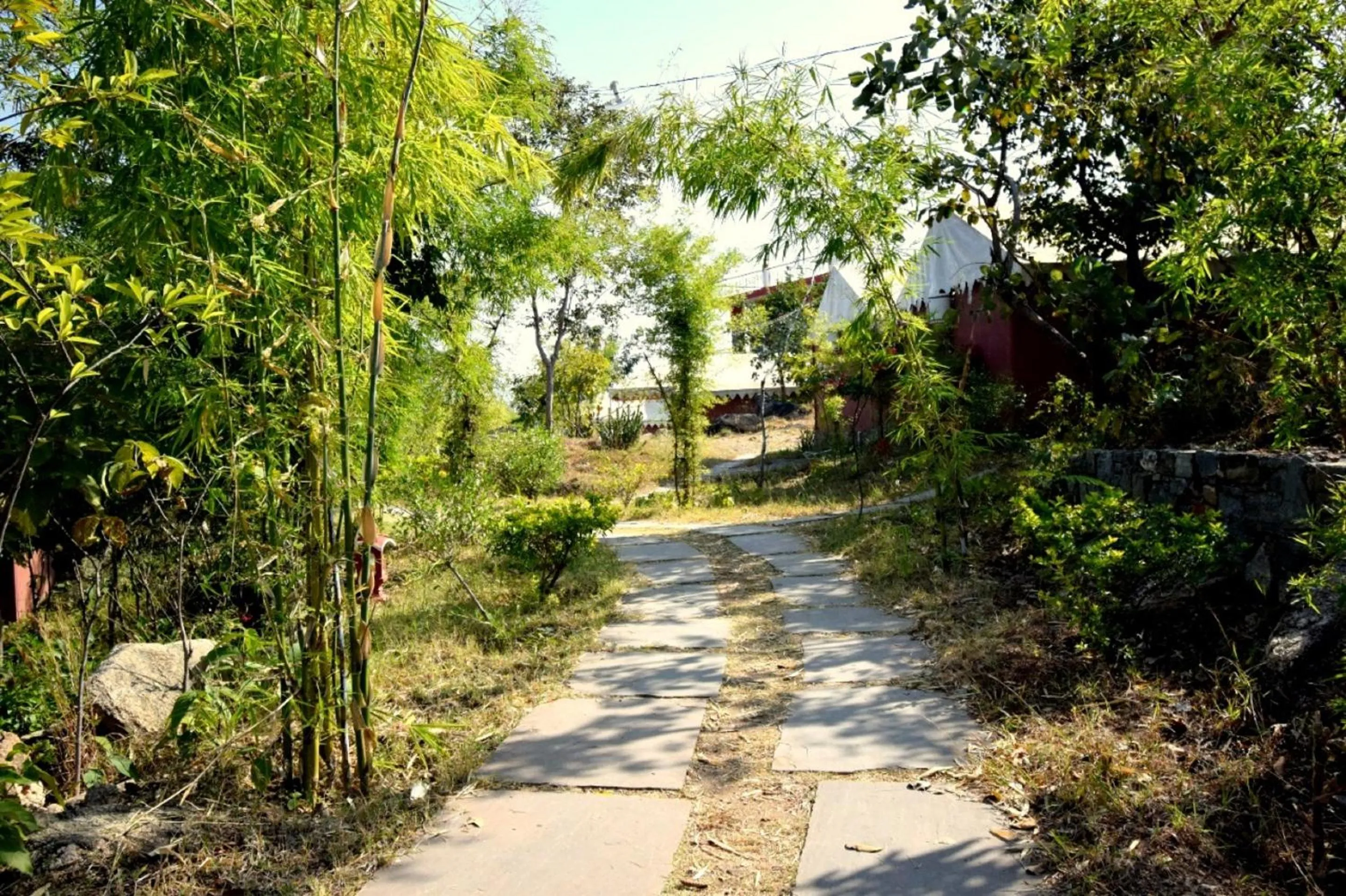 View (from property/room) in The Sky Imperial Jungle Camp Resort