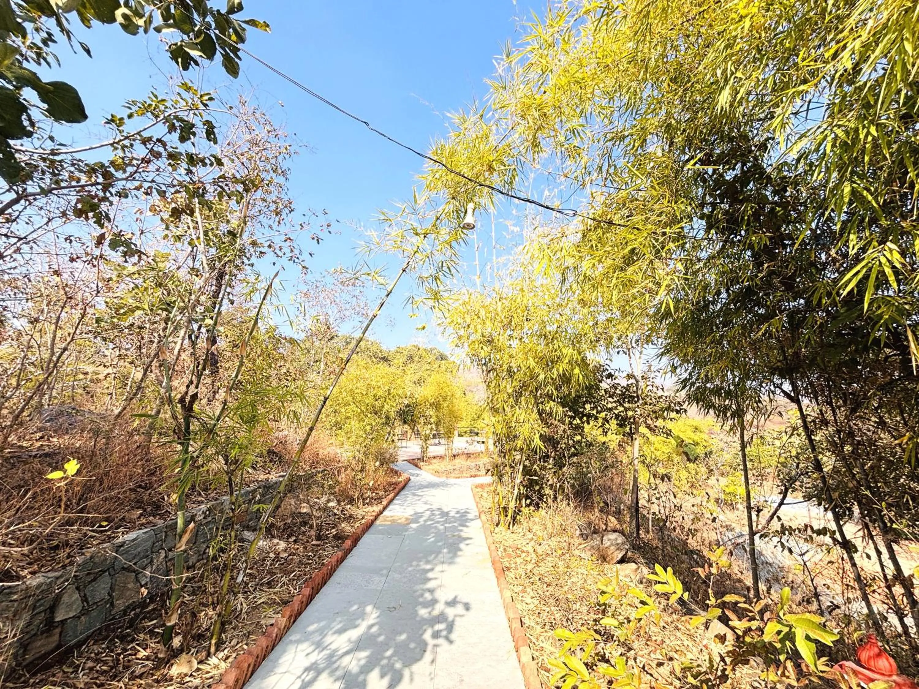Lobby or reception in The Sky Imperial Jungle Camp Resort