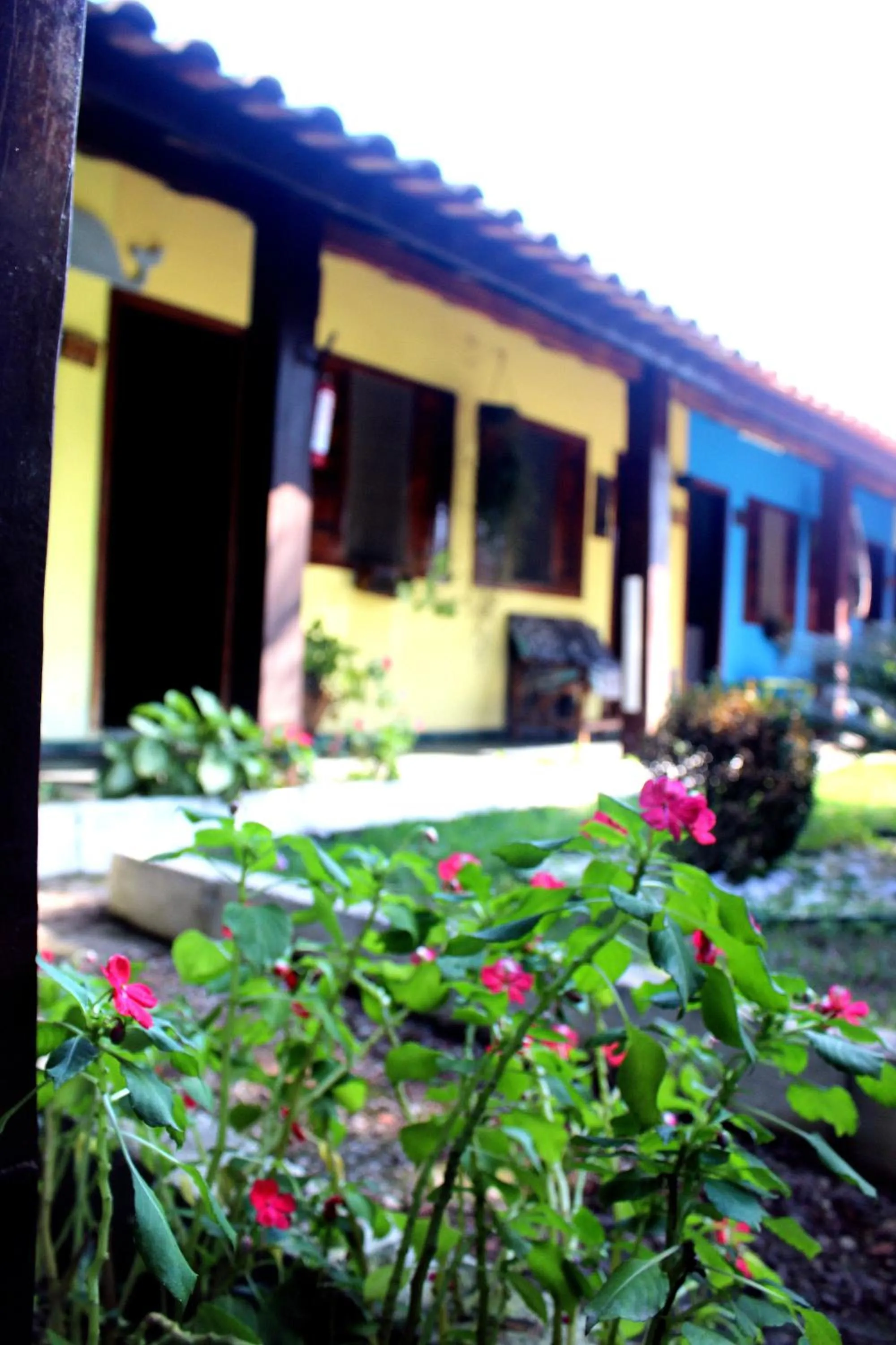 Garden in Pousada Chalé do Beija Flor
